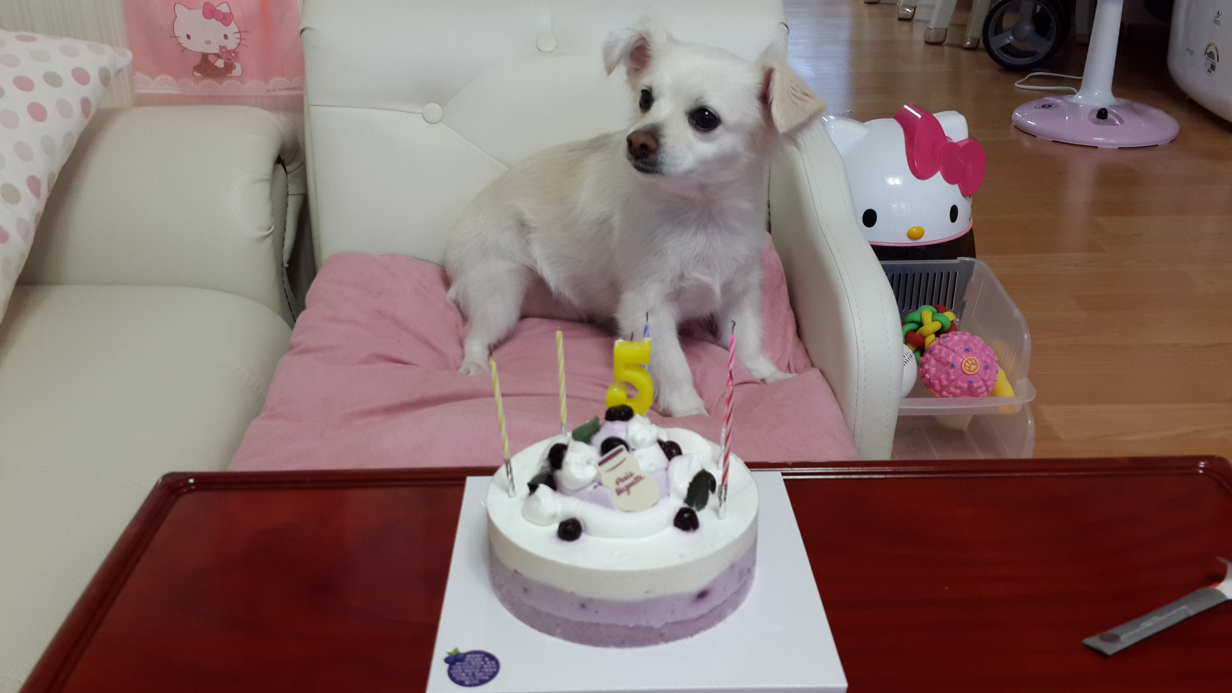 얼마전 제나의 생일...
