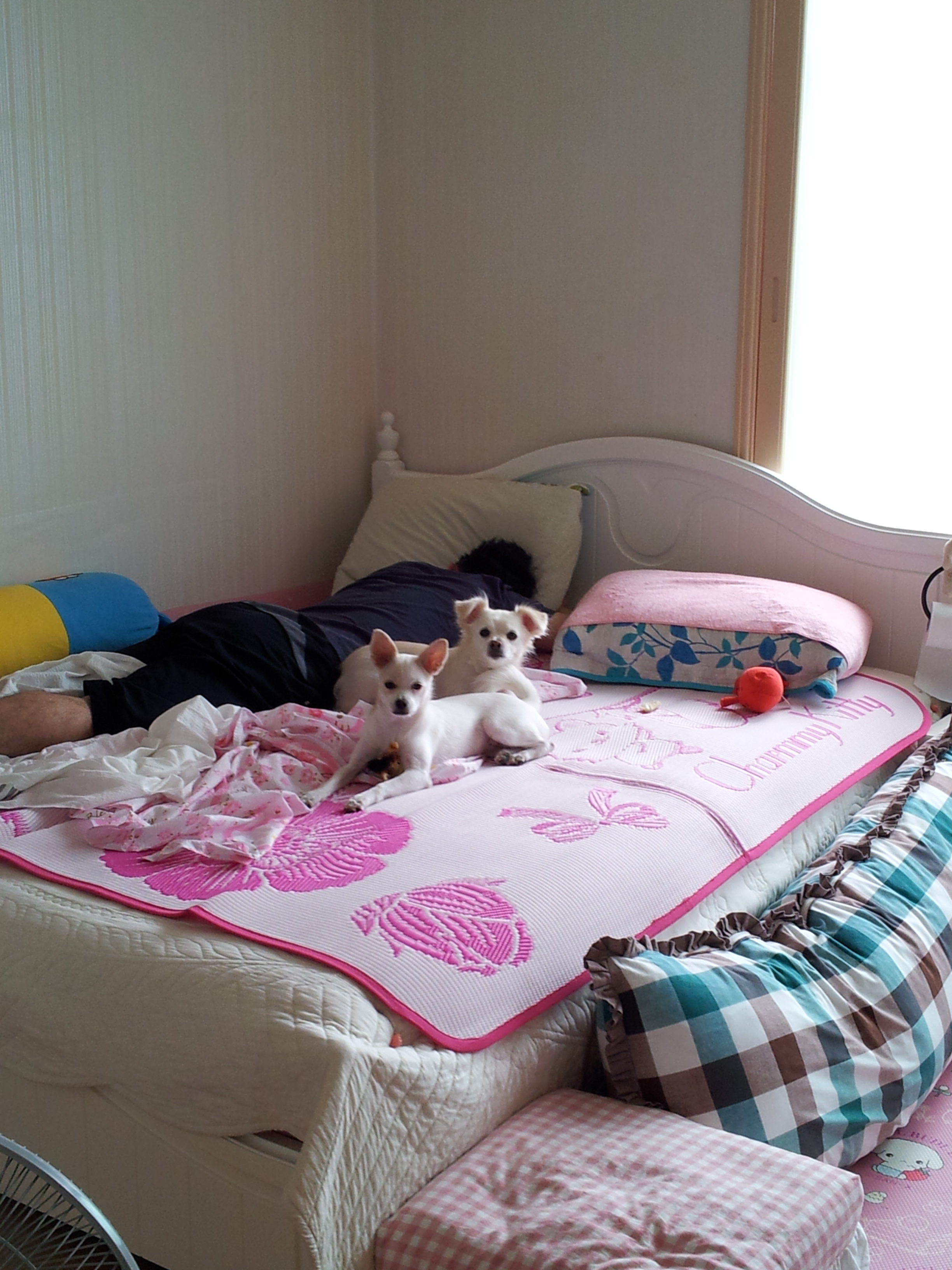 제나의 신기한 일상 모습...