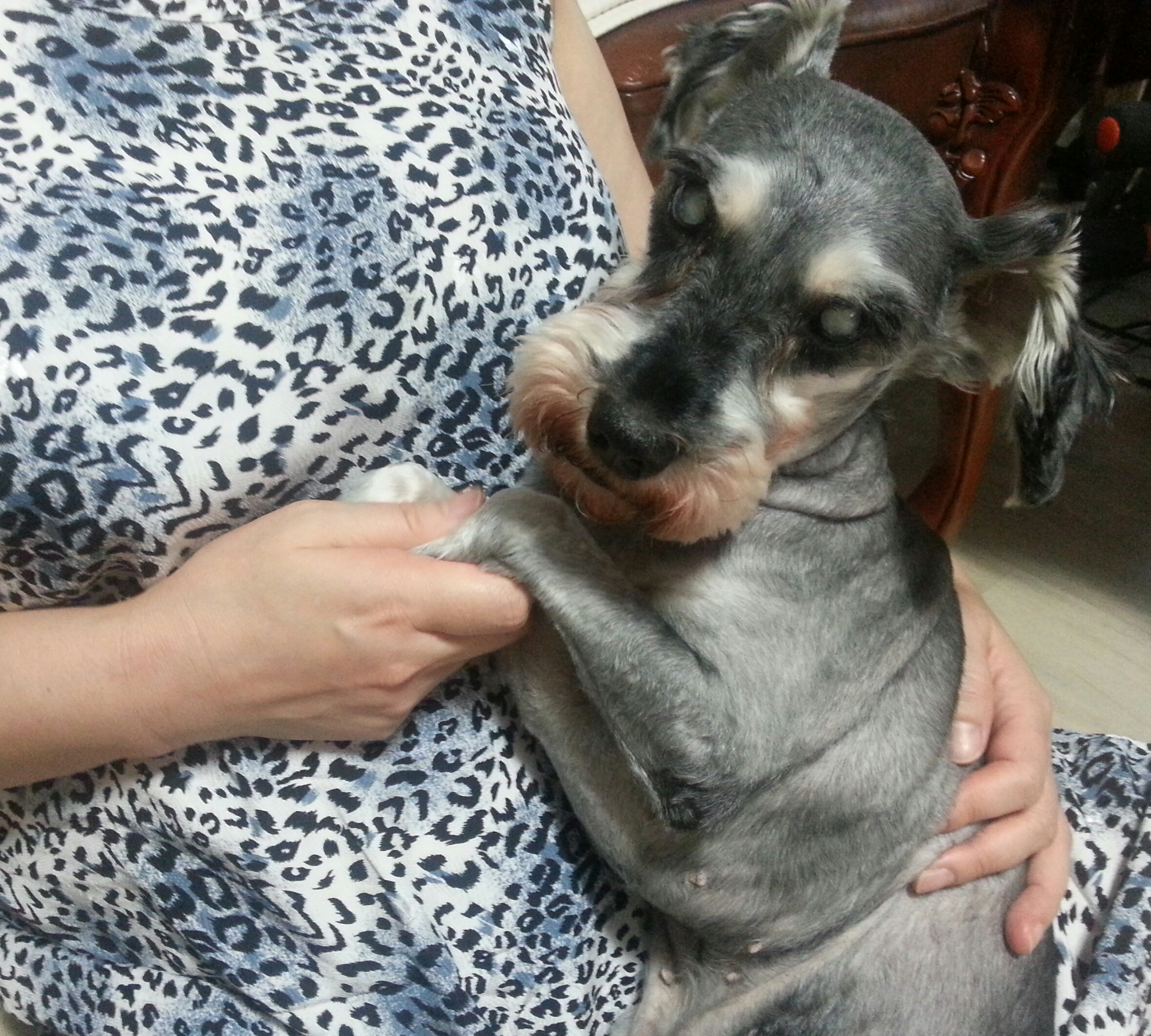 똑똑이 임보 첫날~