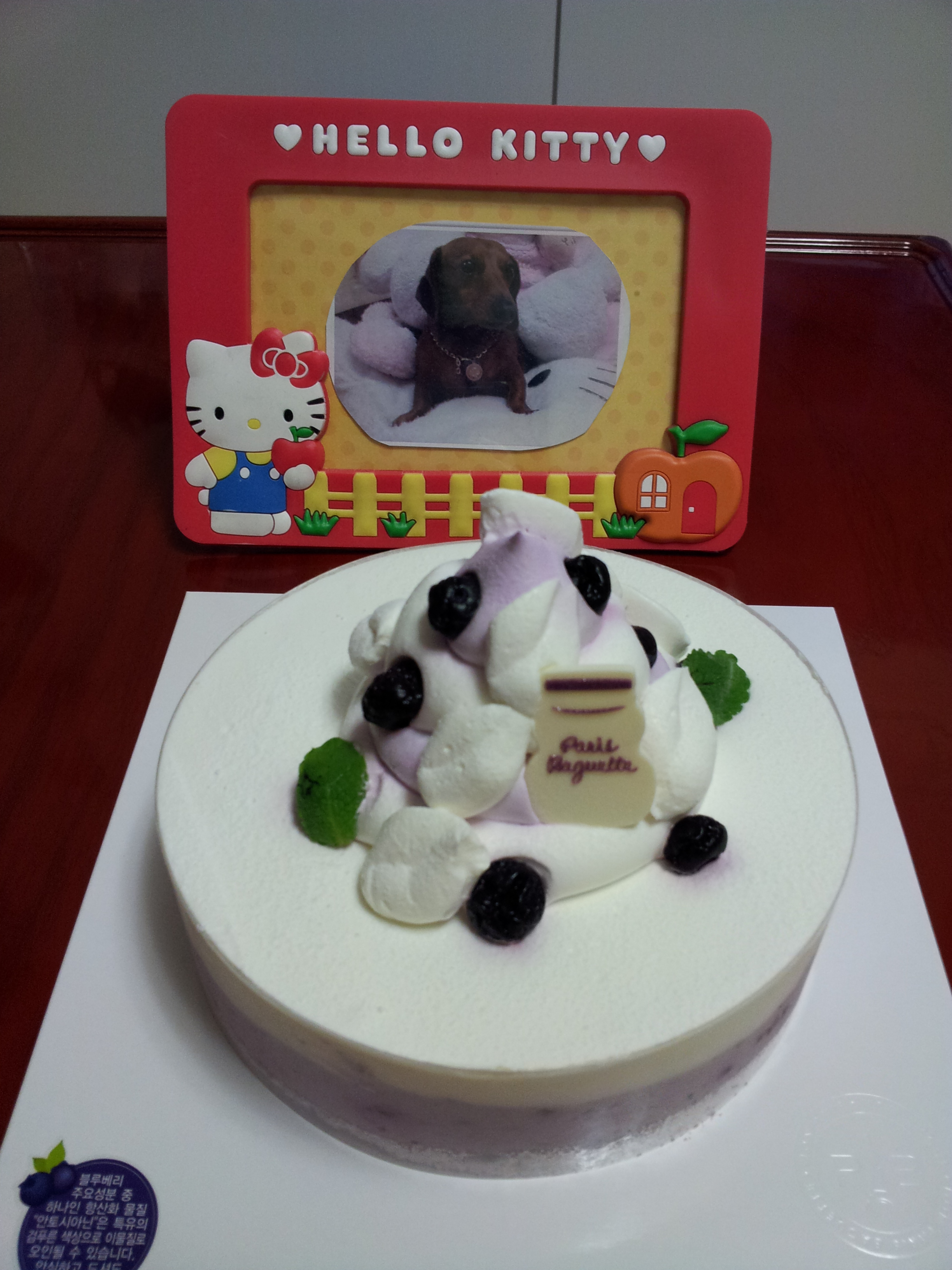 제나의 뒷다리 디테일..그리고 딸기의 생일...