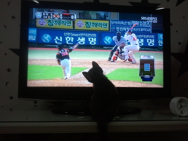 점프의 여왕...티나