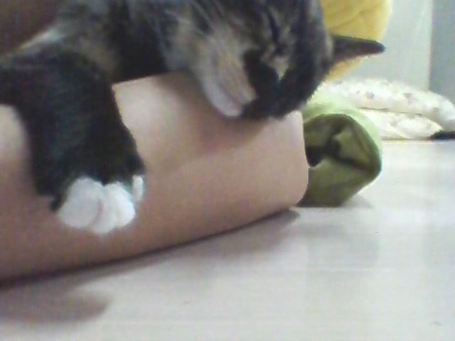 점프의 여왕...티나