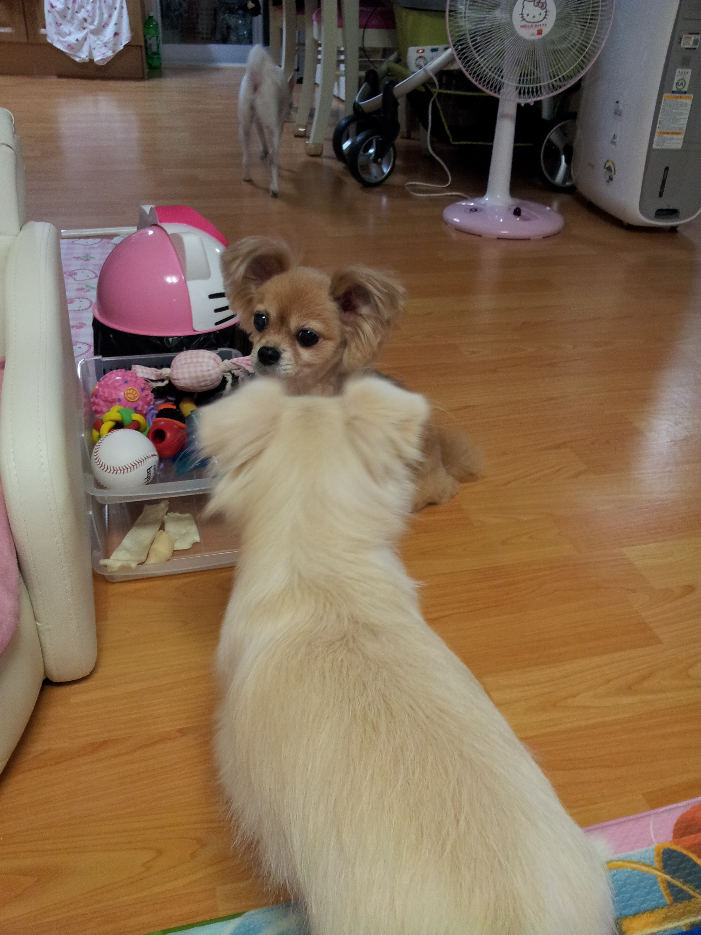 빛나가 왔어요...