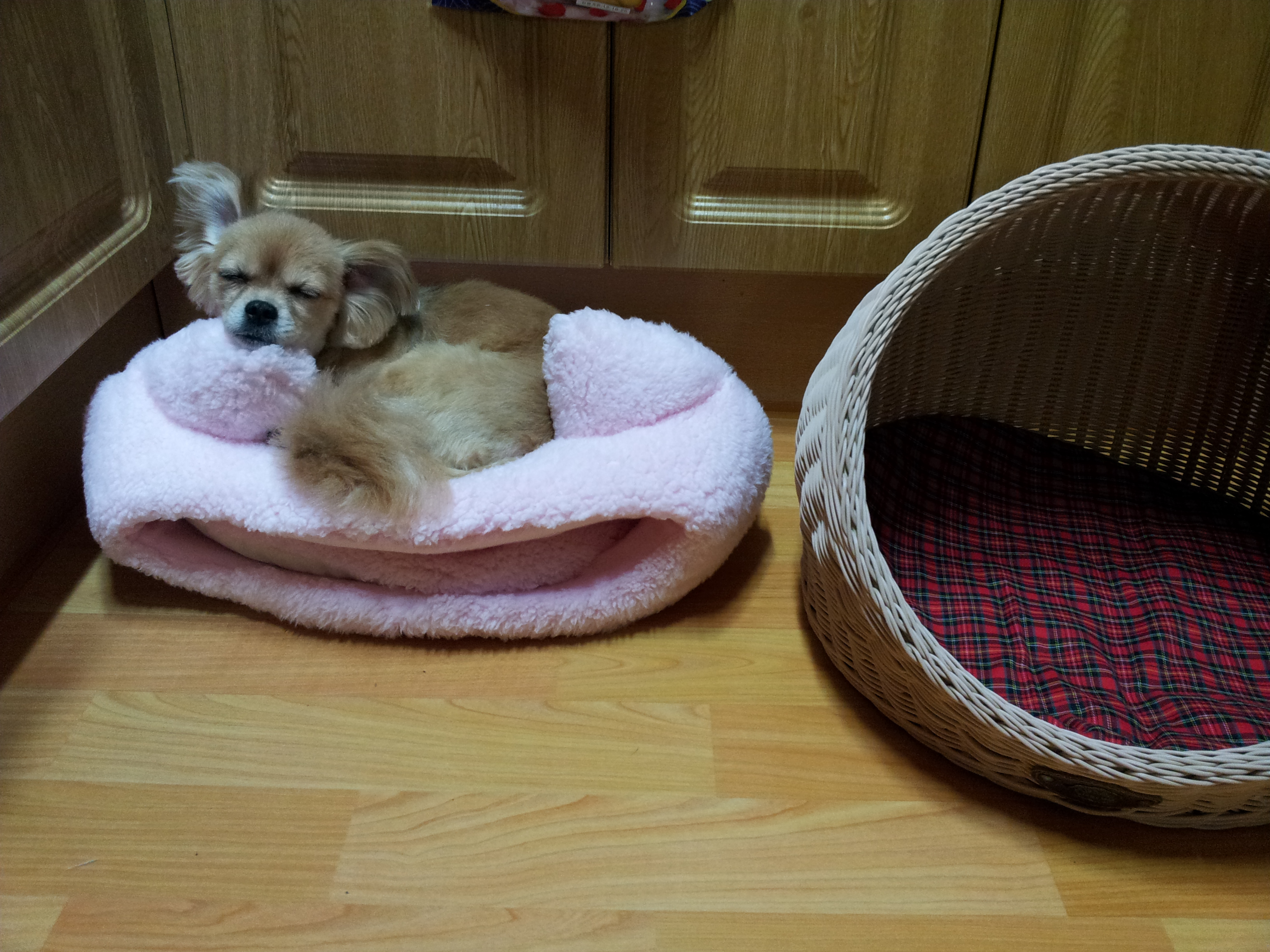 빛나 둘째날...그리고...