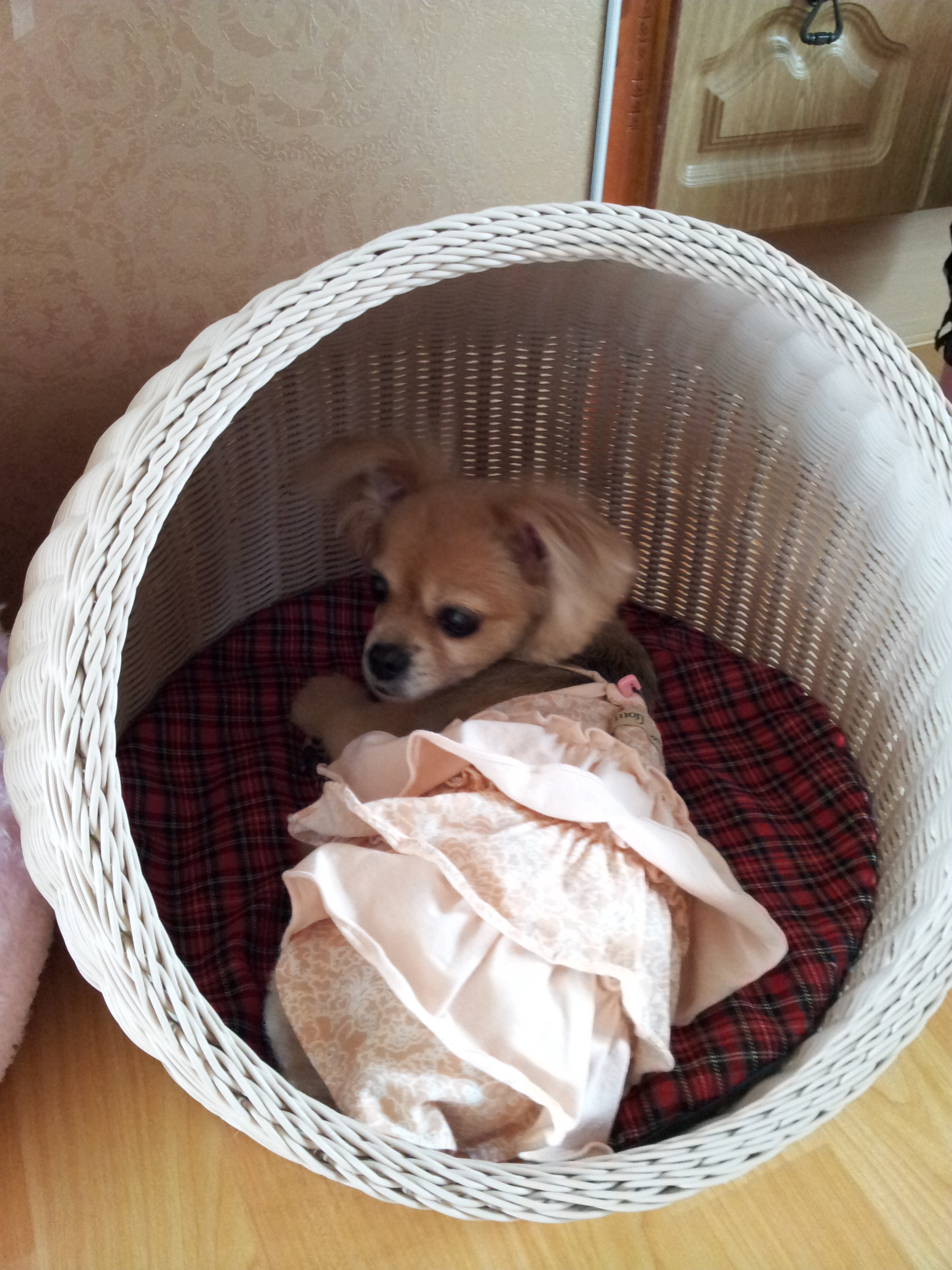 빛나 둘째날...그리고...