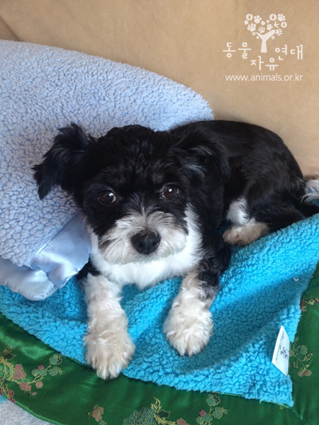 청아 임보일기....^^