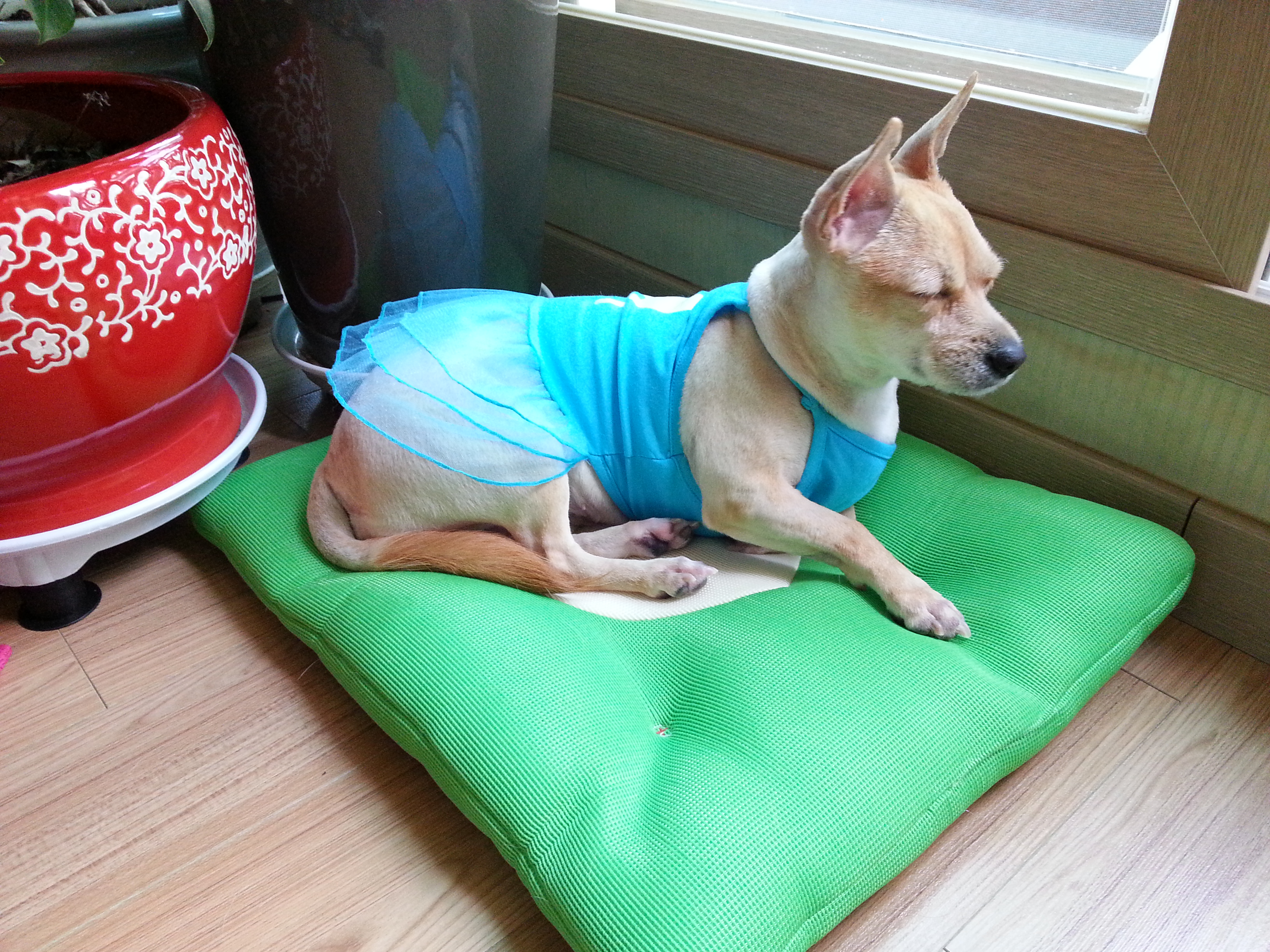 엄지공주 근황입니다~