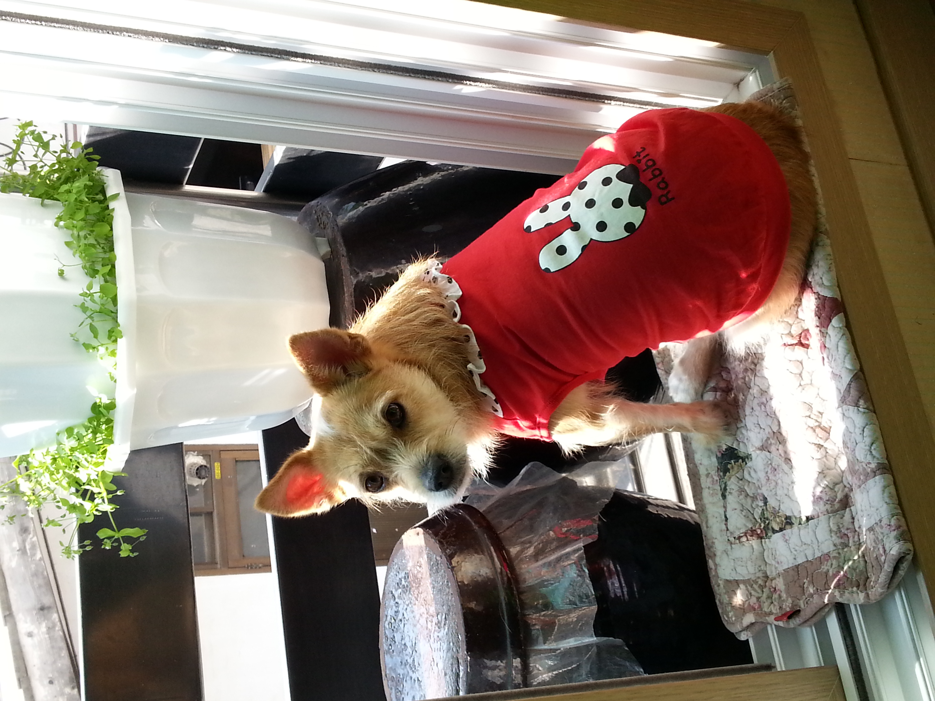 엄지공주 근황입니다~