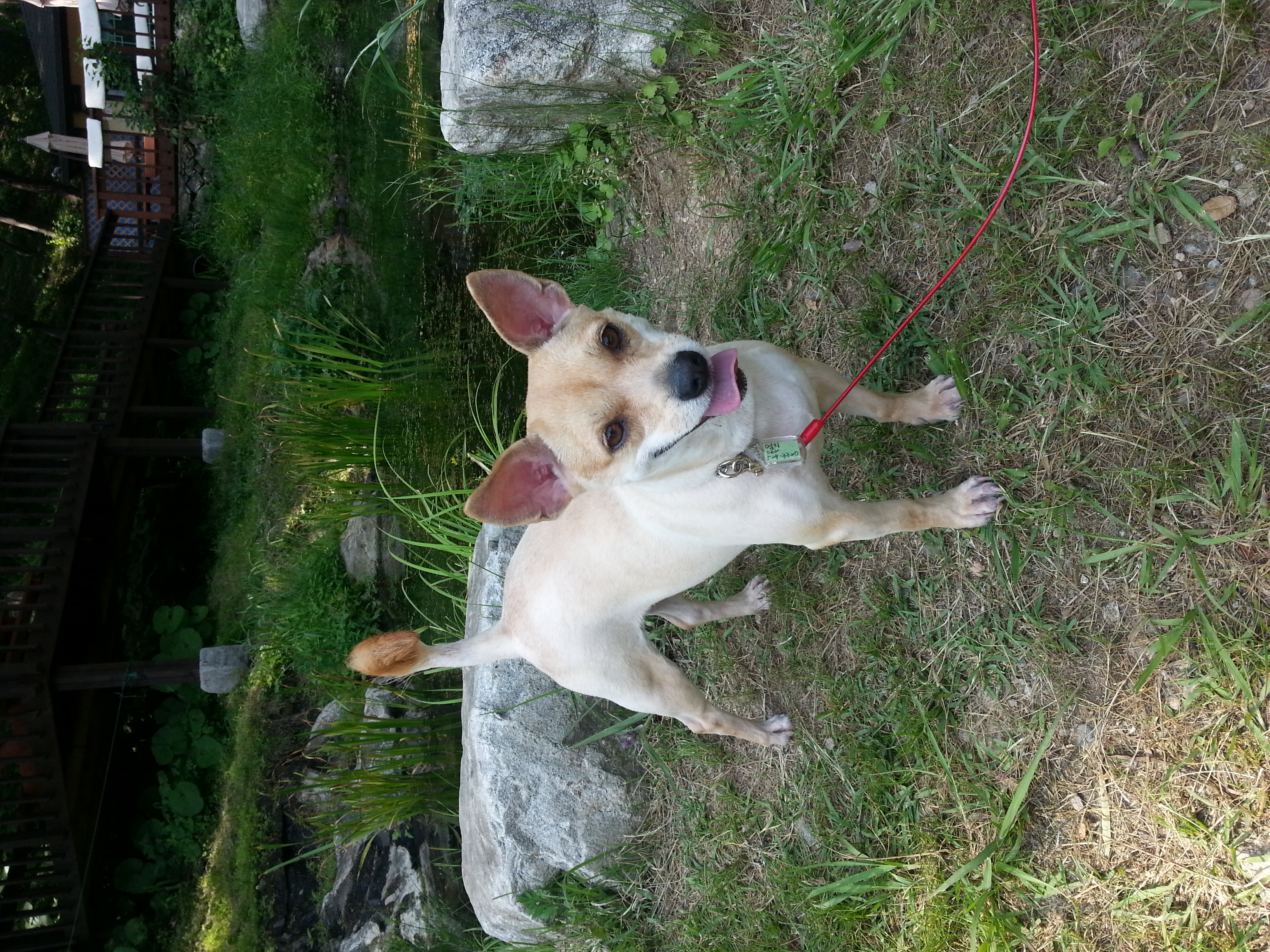 엄지공주 근황입니다~