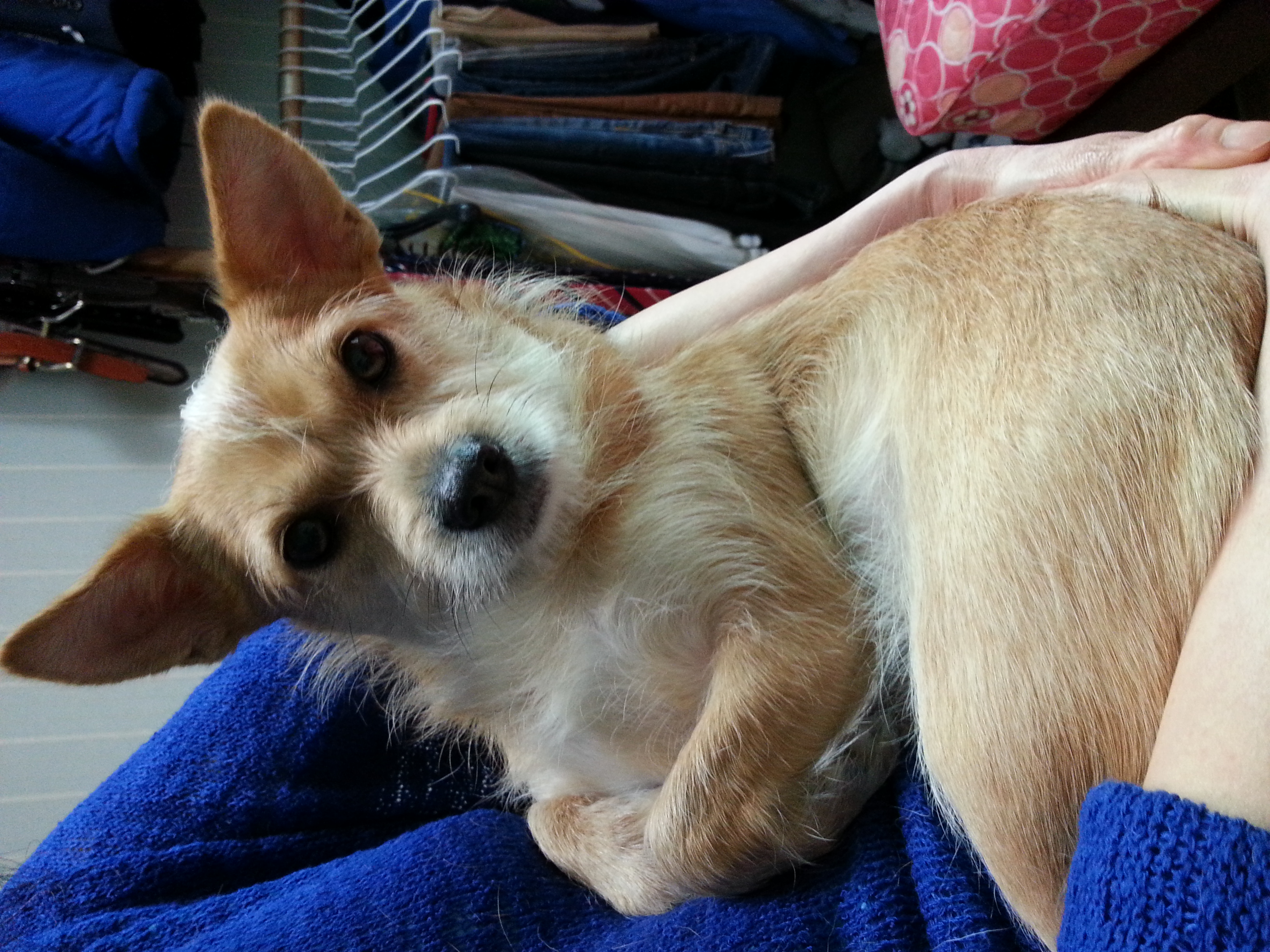 엄지공주 근황입니다~