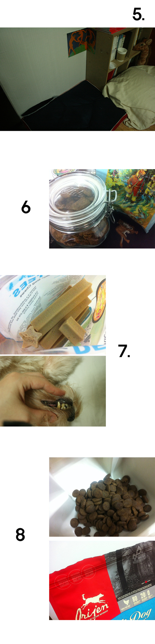 오랜만에 하로 근황^^