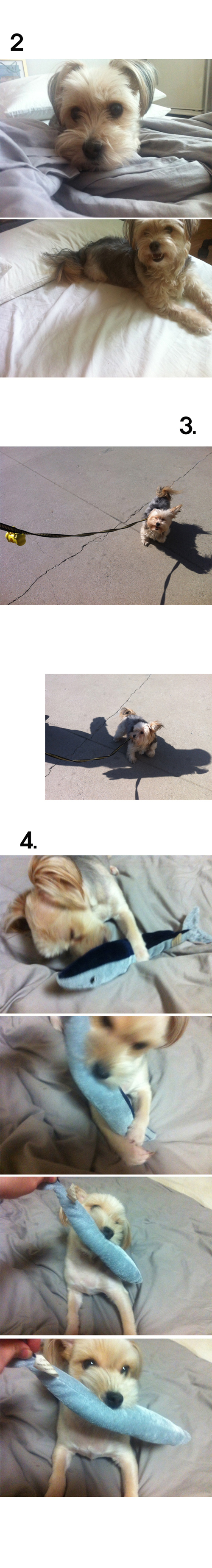 오랜만에 하로 근황^^