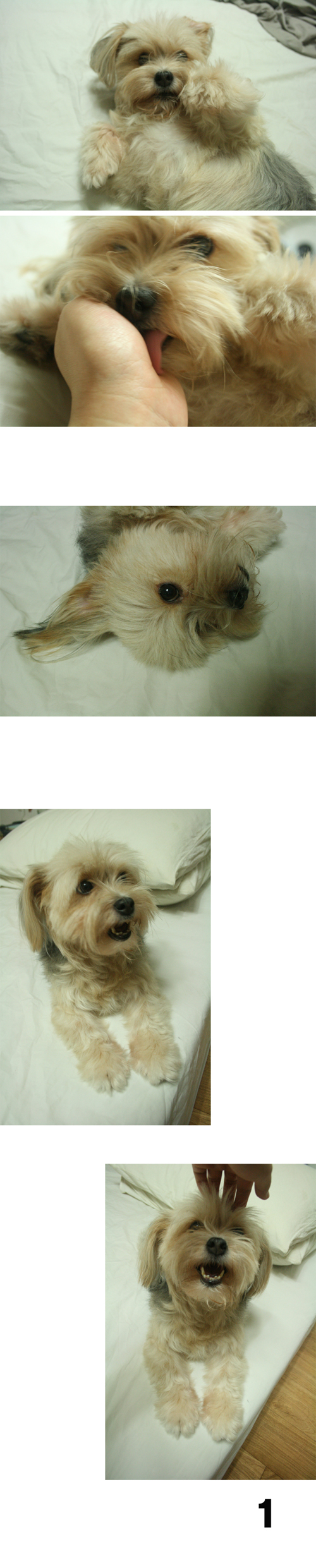 오랜만에 하로 근황^^