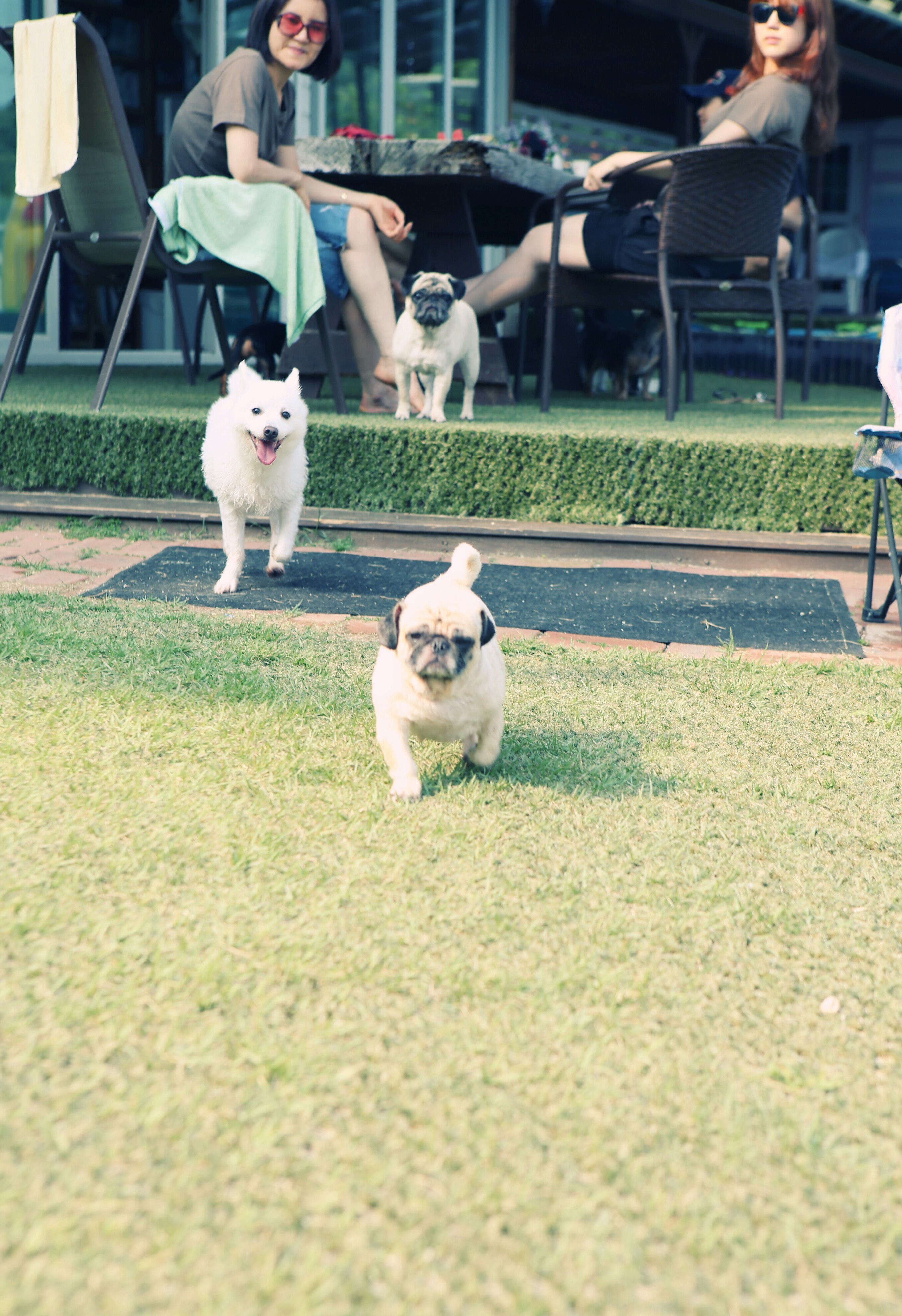 오랜만에 쭈니(사랑이) 인사드립니다 :)