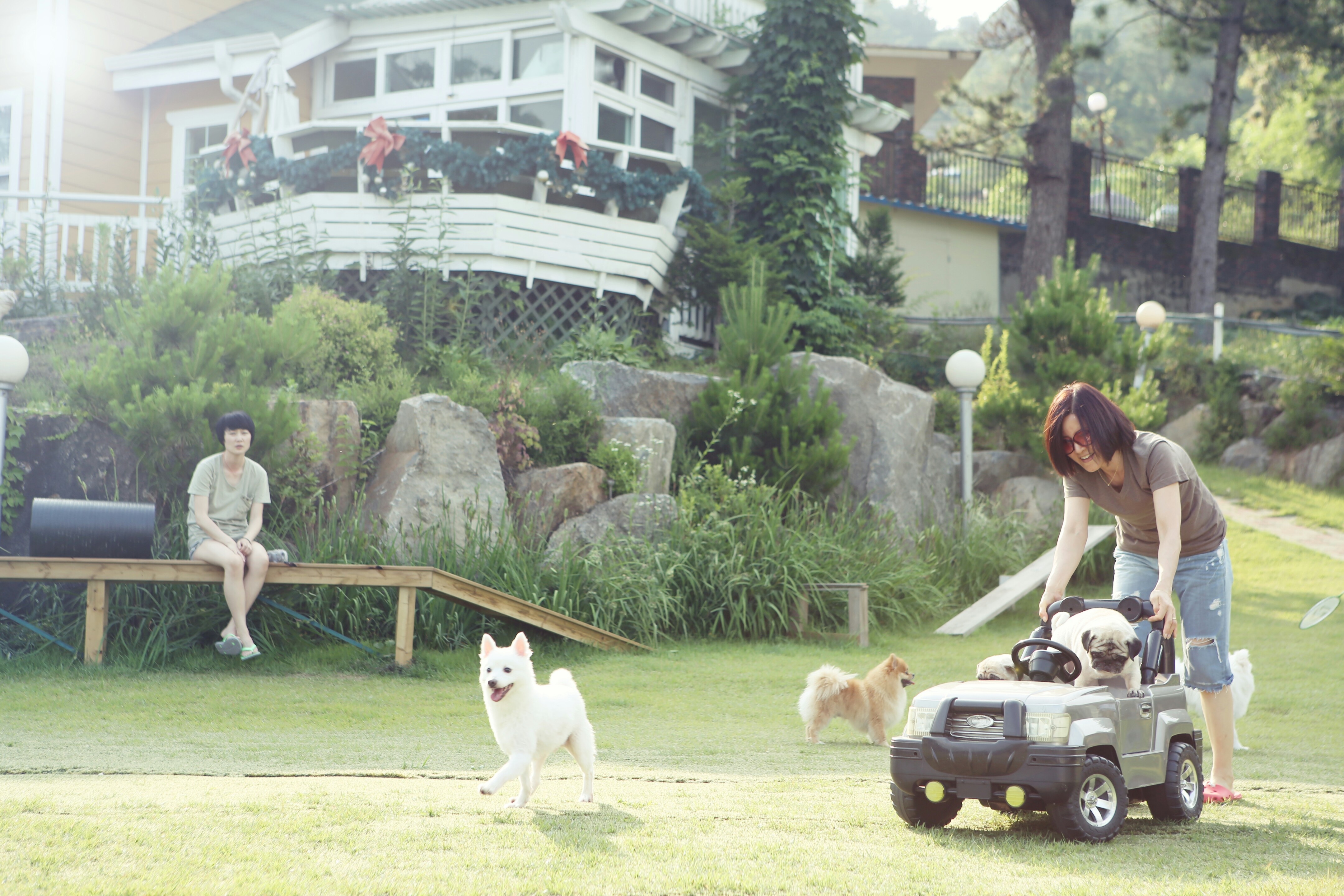 오랜만에 쭈니(사랑이) 인사드립니다 :)