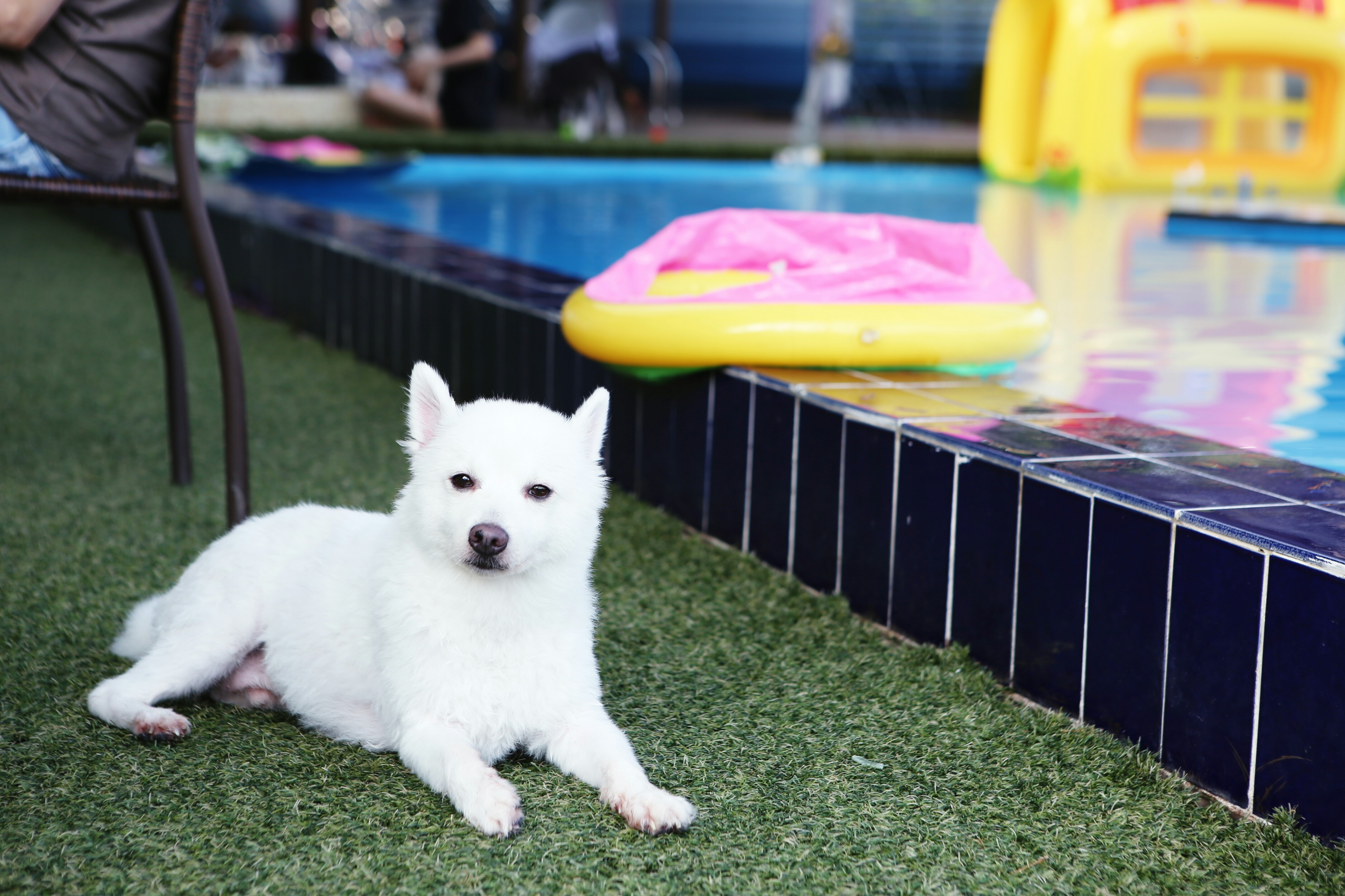 오랜만에 쭈니(사랑이) 인사드립니다 :)