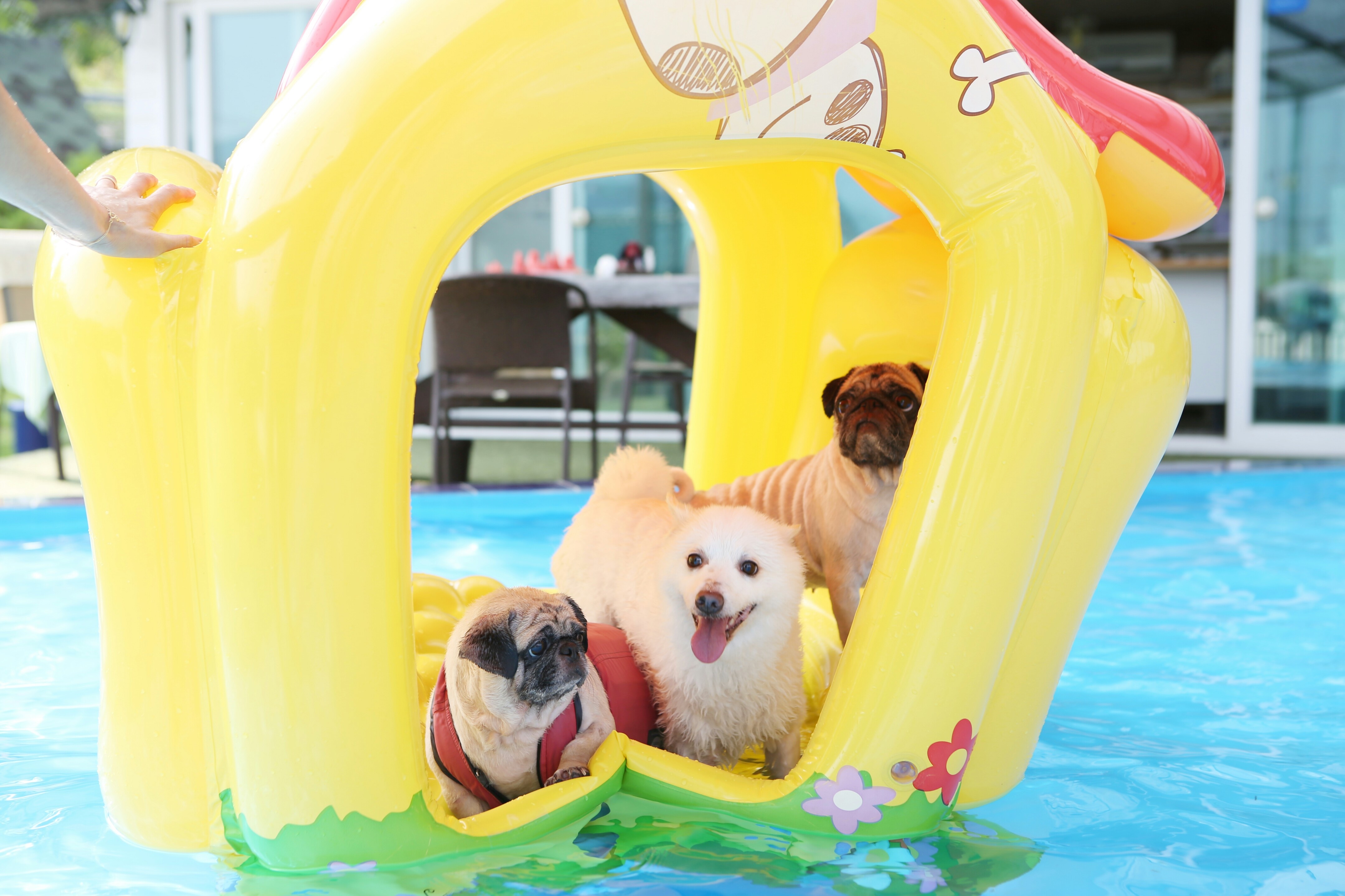 오랜만에 쭈니(사랑이) 인사드립니다 :)