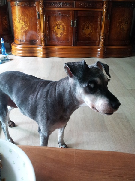 이쁜똑똑이소식~~^