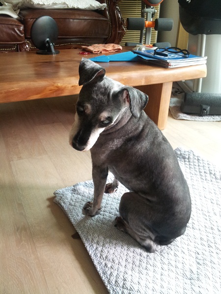 이쁜똑똑이소식~~^