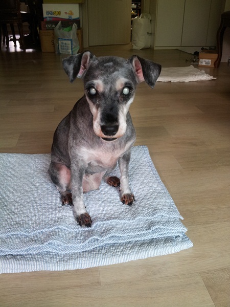 이쁜똑똑이소식~~^