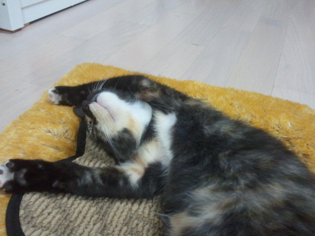 티나 잘 크고  있어요..