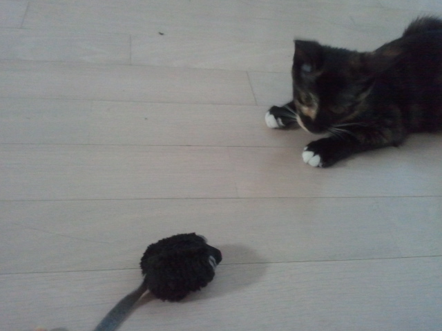 티나 잘 크고  있어요..