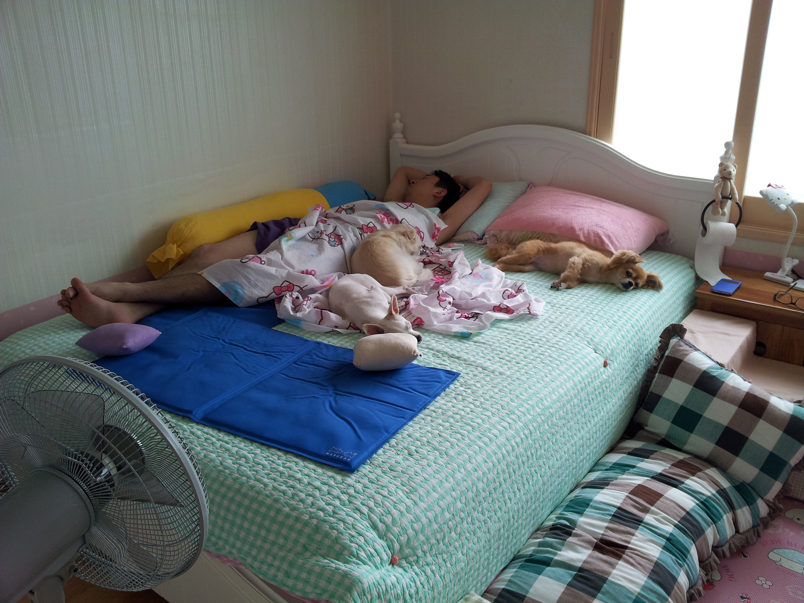 오늘 드뎌 처음으로 옹기종기 모여자는 세여자...