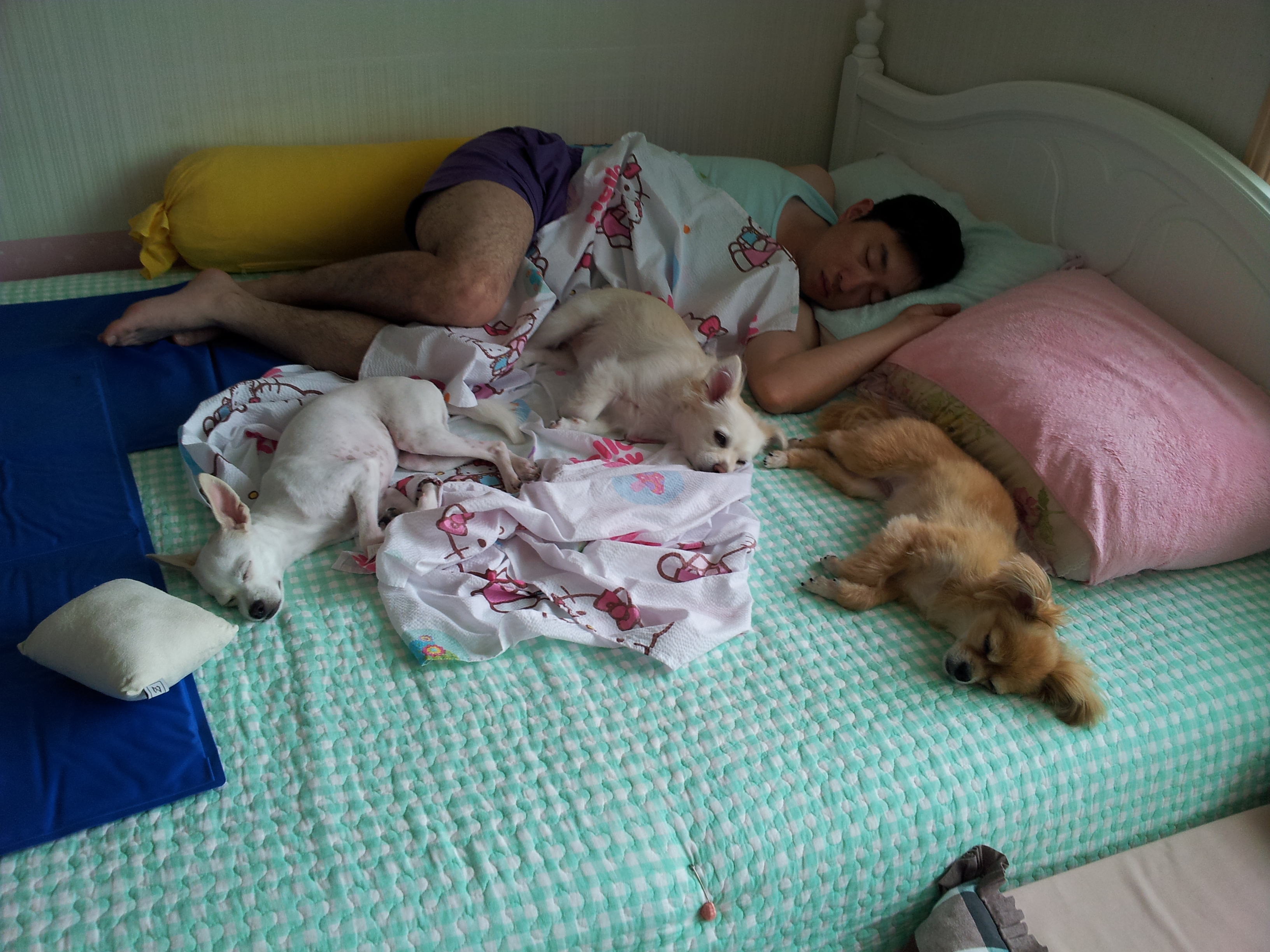 오늘 드뎌 처음으로 옹기종기 모여자는 세여자...