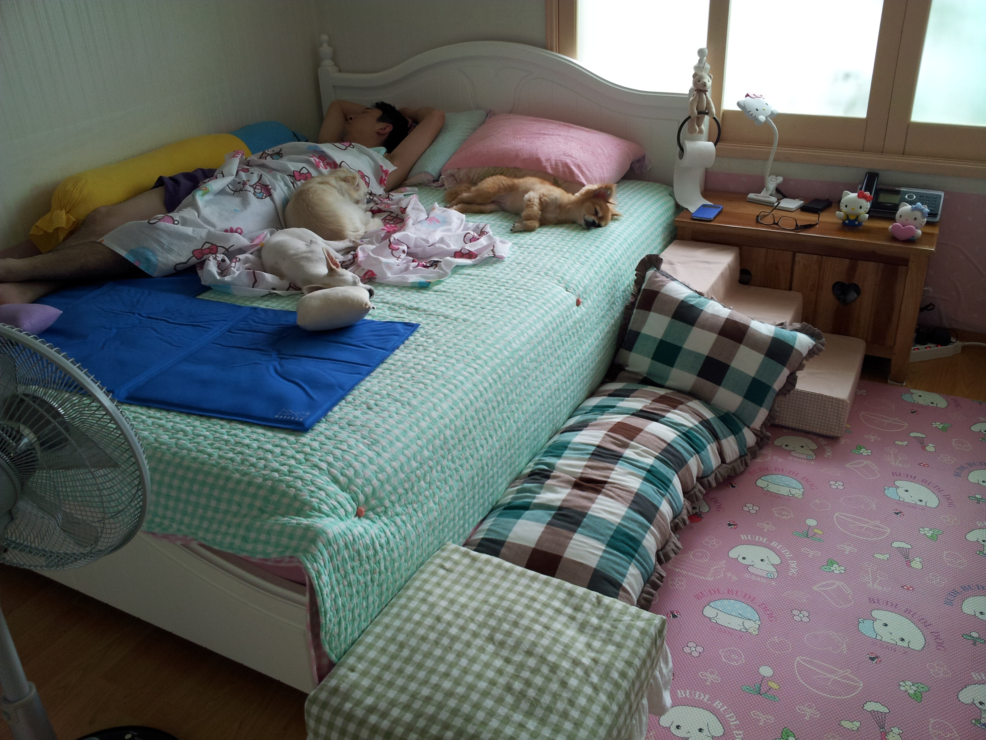 오늘 드뎌 처음으로 옹기종기 모여자는 세여자...