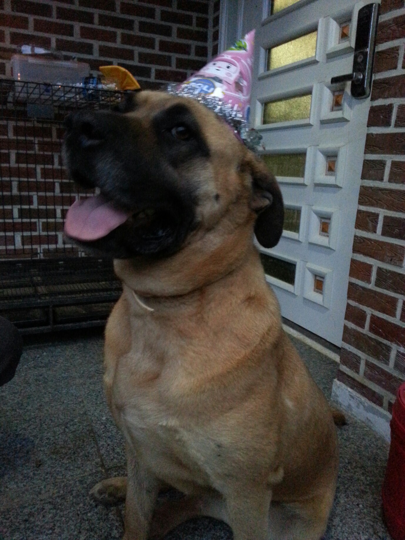 영심이 1주년 ..