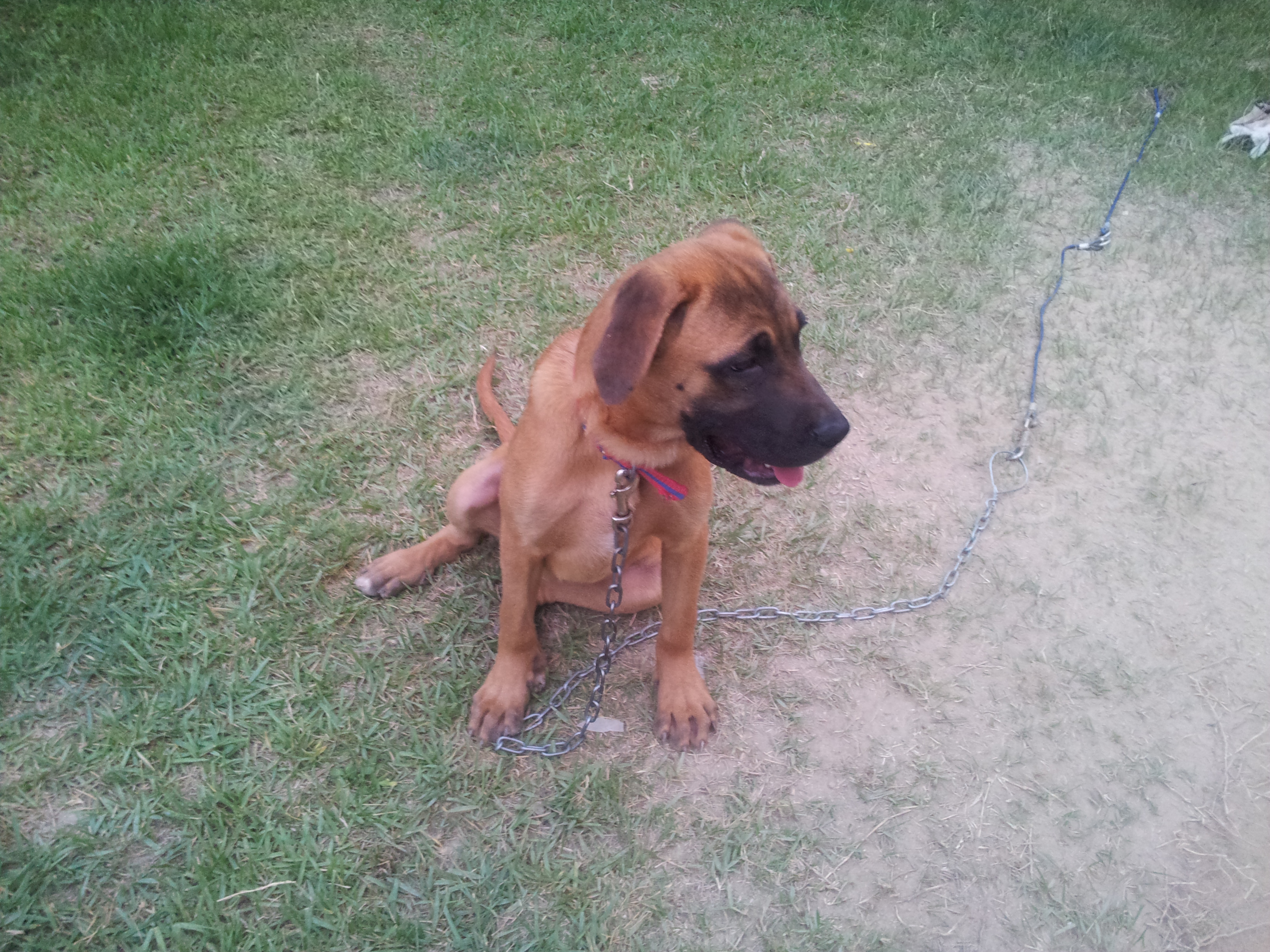 영심이 1주년 ..