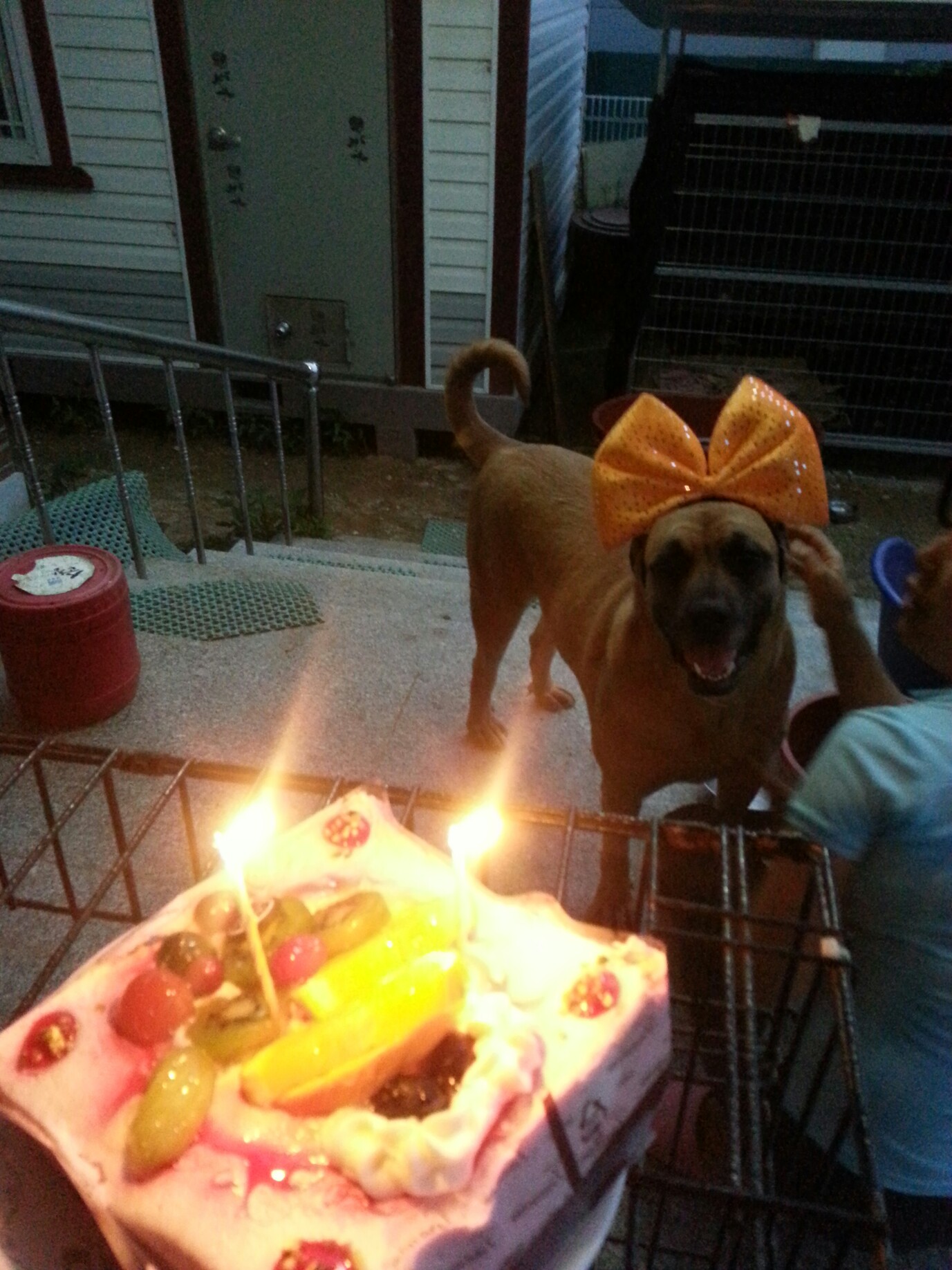 영심이 1주년 ..