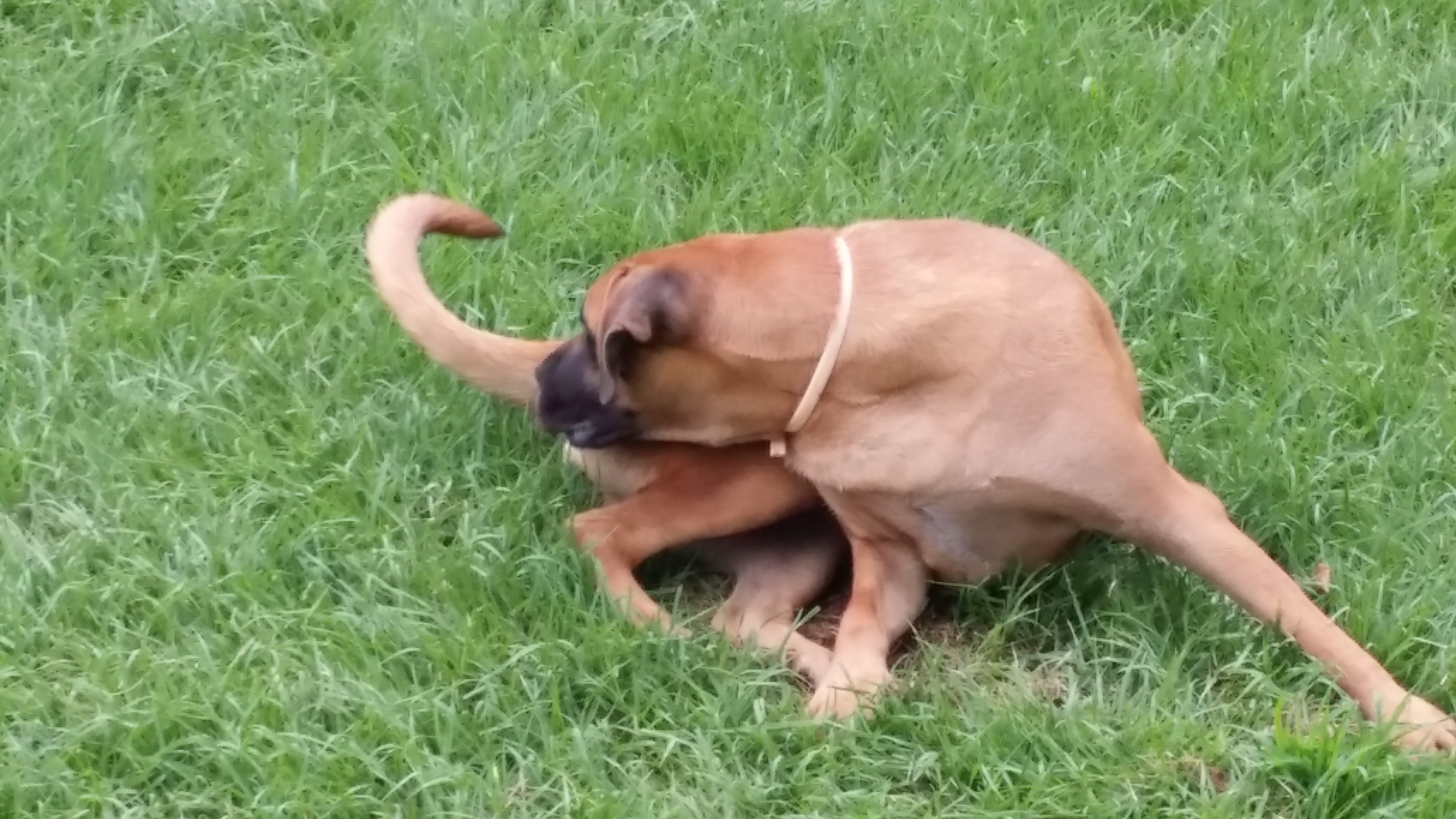 영심이 1주년 ..