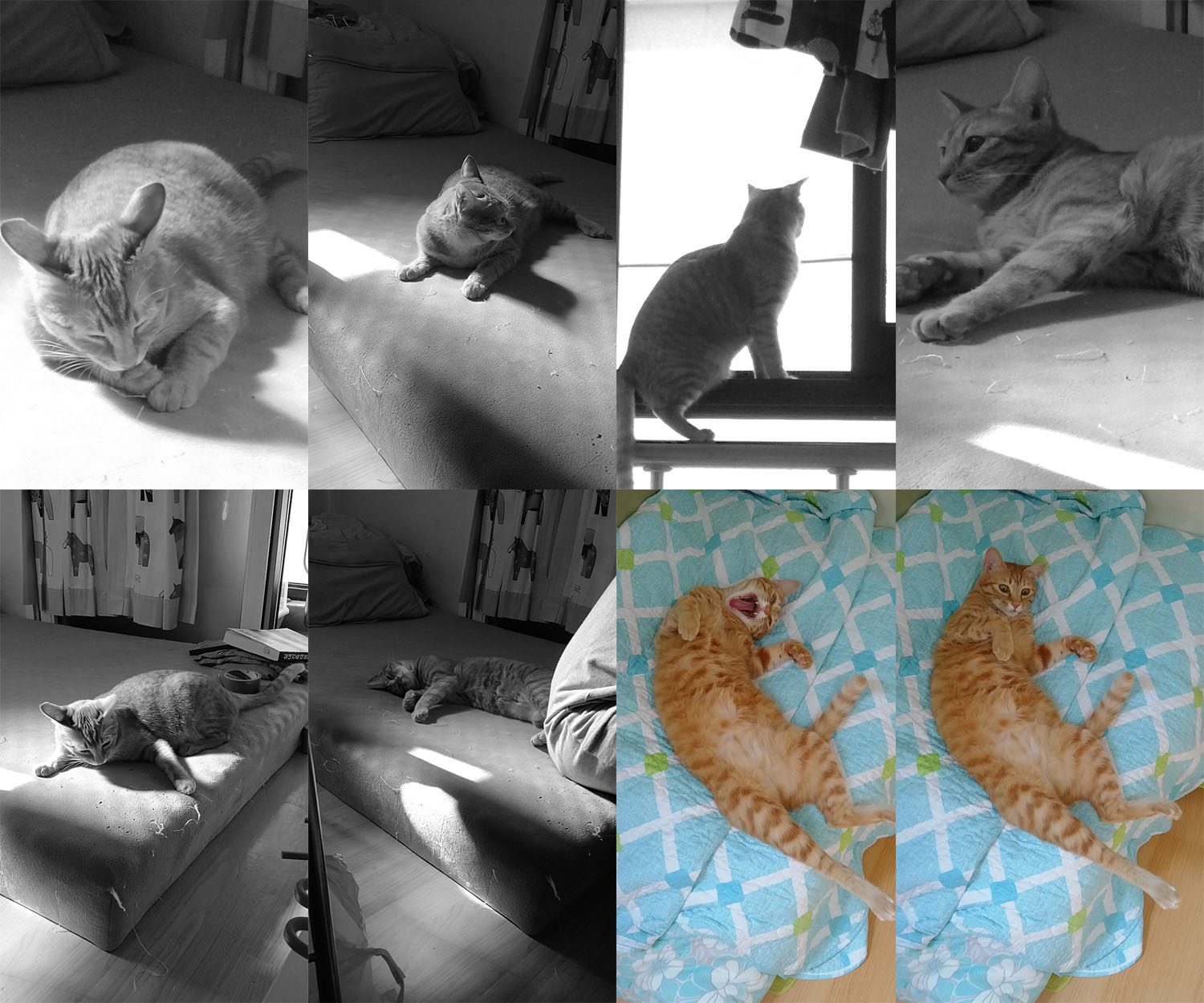 장화야 앞으로도 잘해보자!