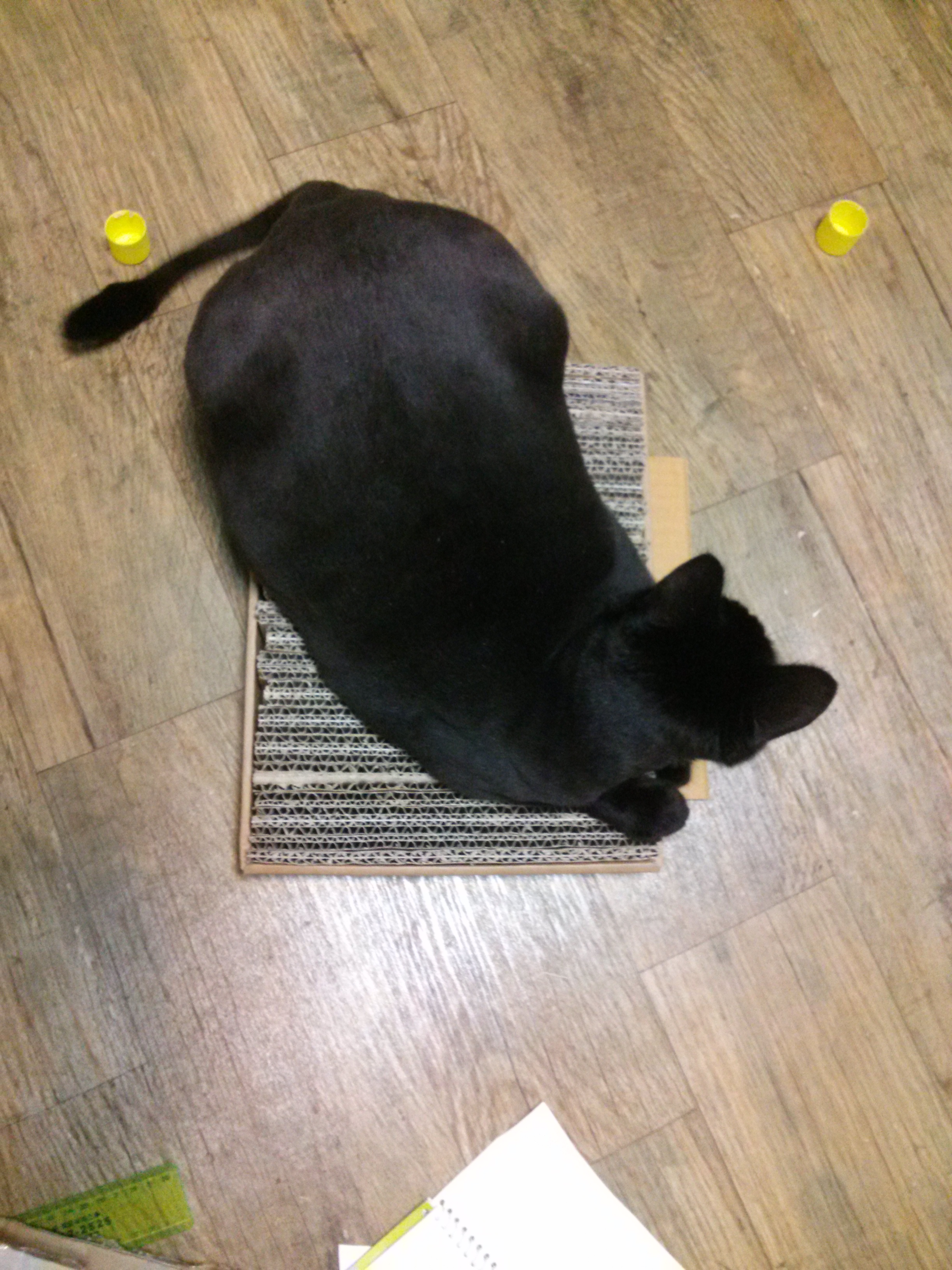 야후 장난감 만들기