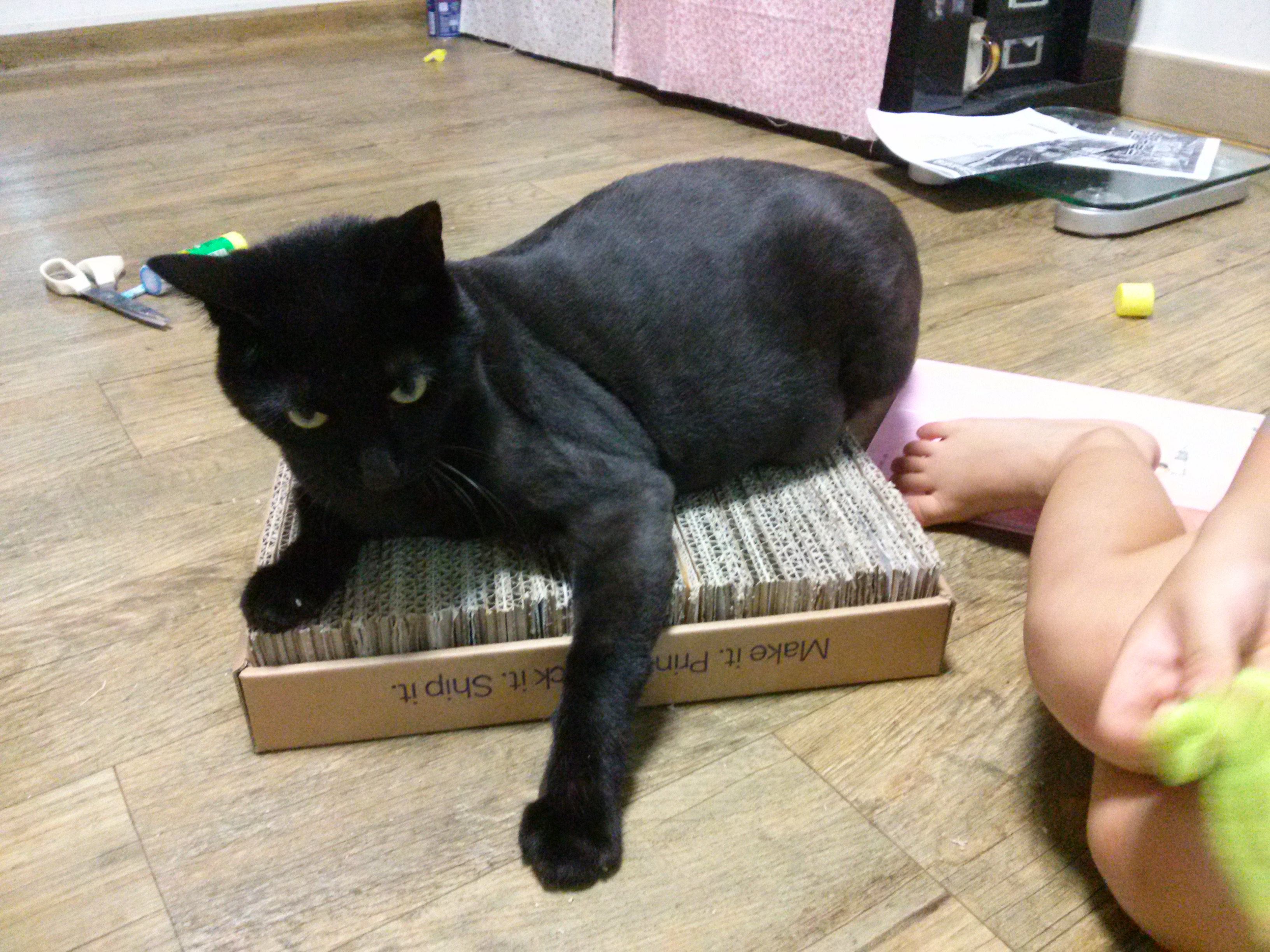 야후 장난감 만들기