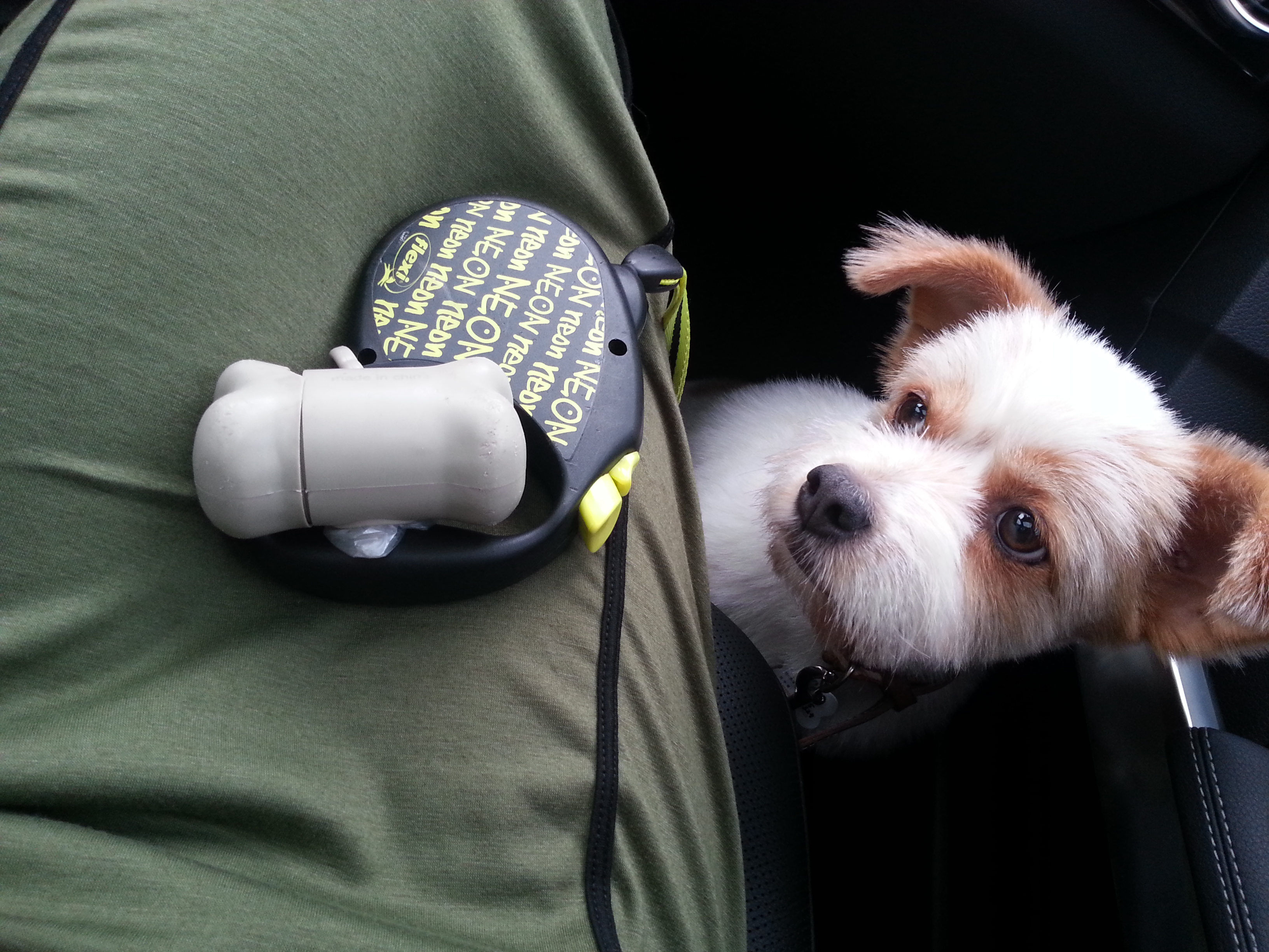 뚱순이 여름나기