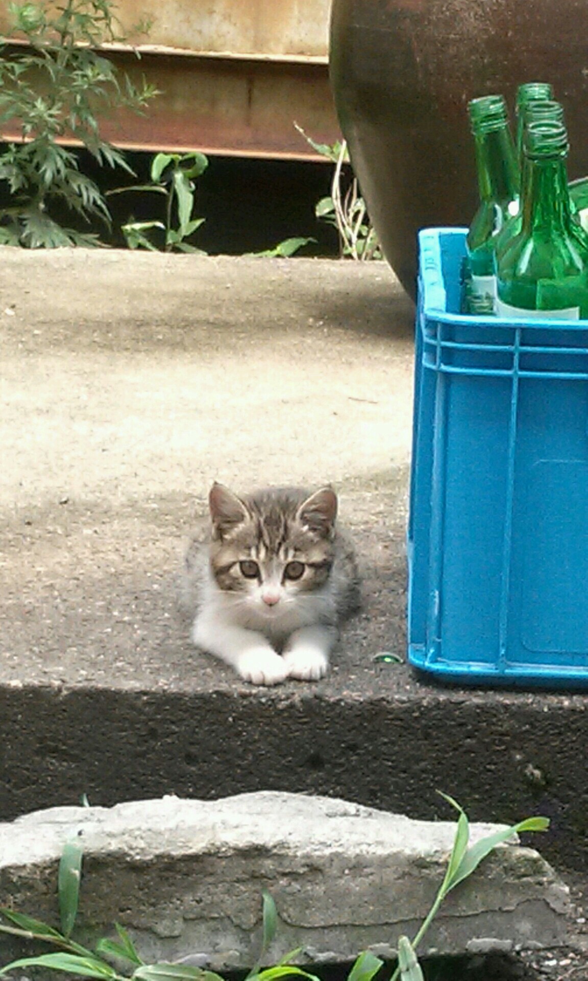 양양사랑이 가족들~