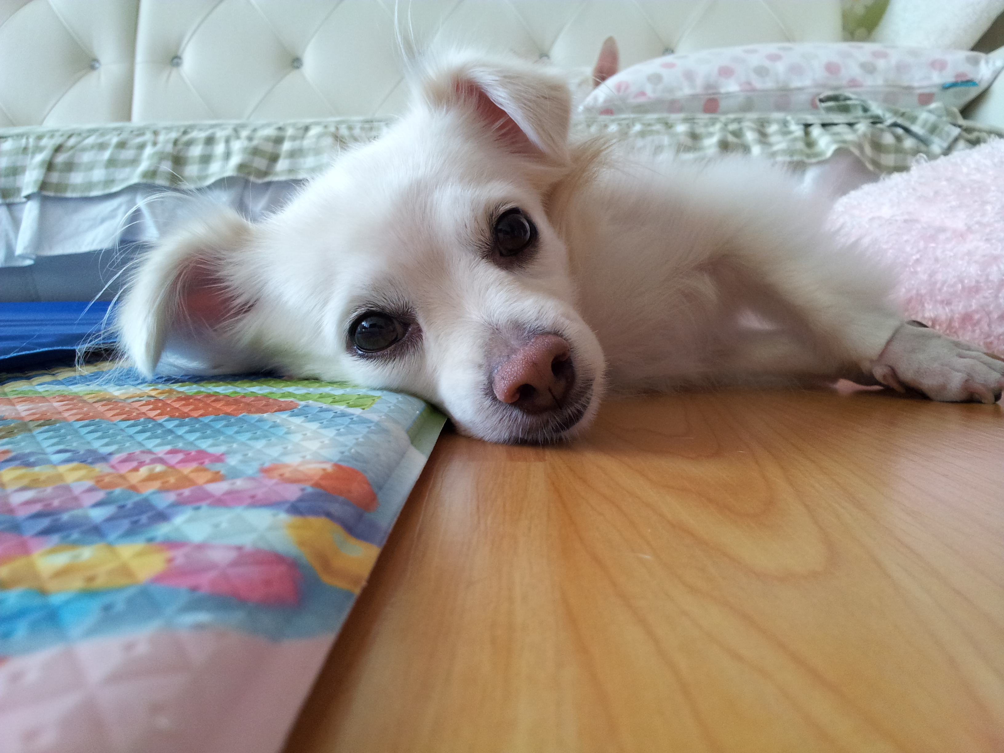 제나는 잘지내요~