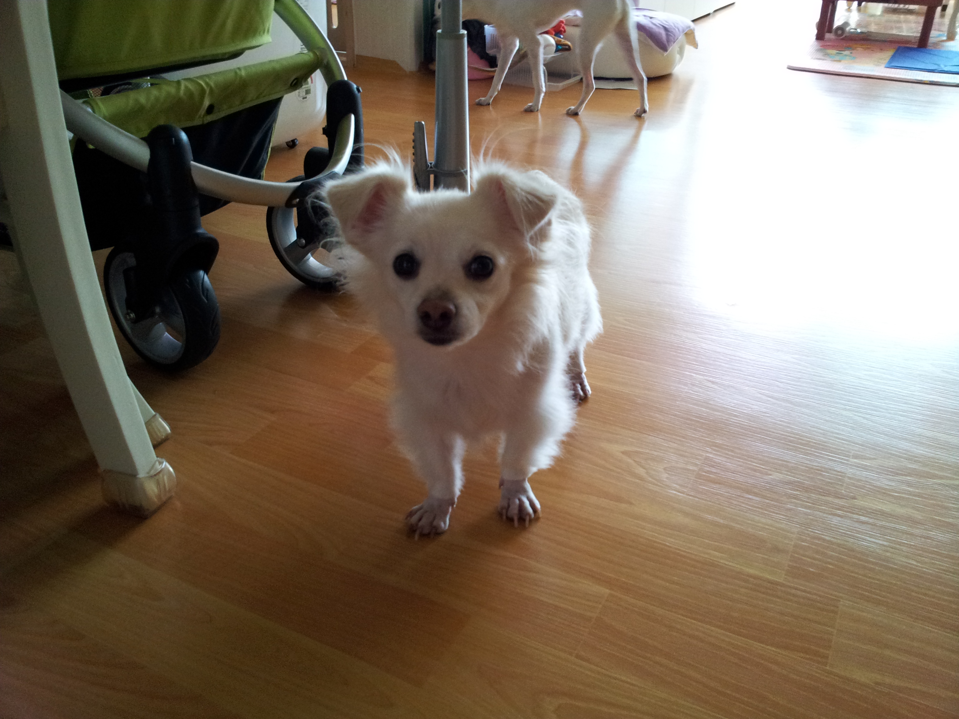 제나는 잘지내요~