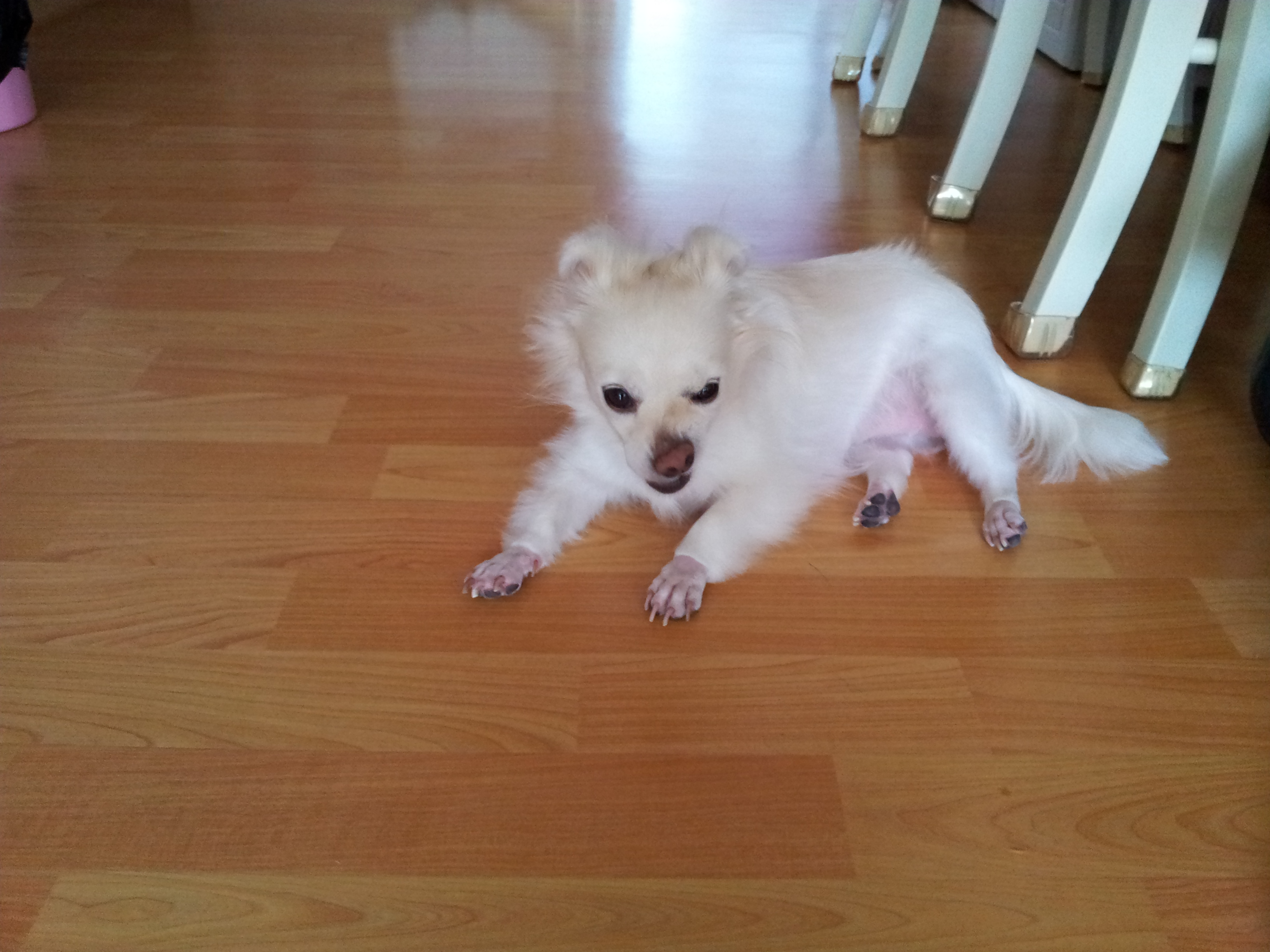 제나는 잘지내요~