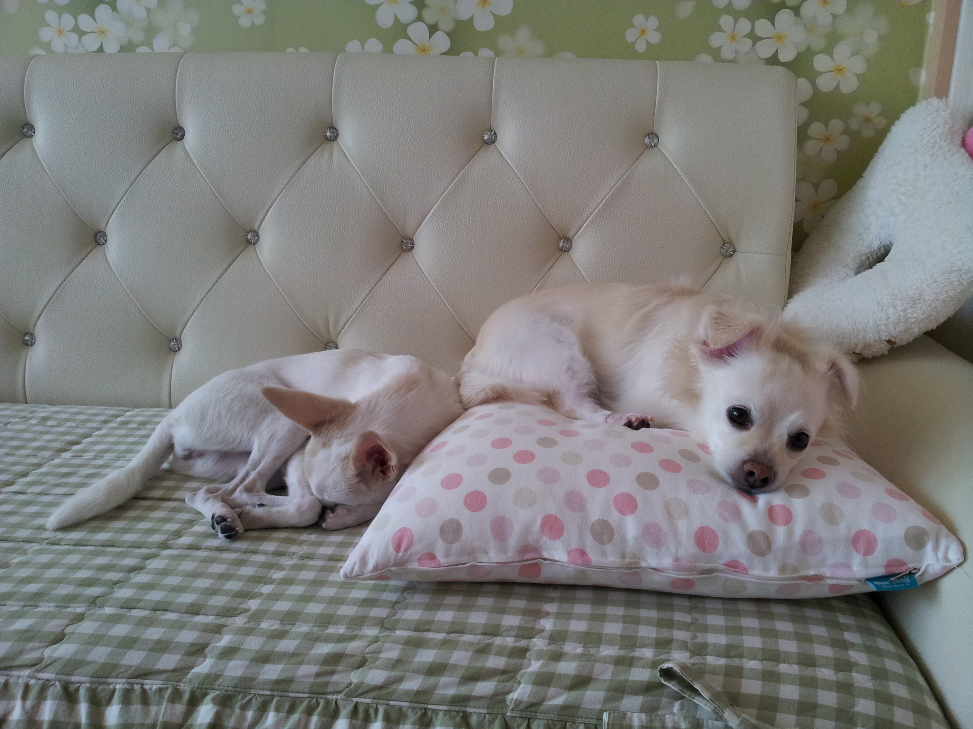 제나는 잘지내요~