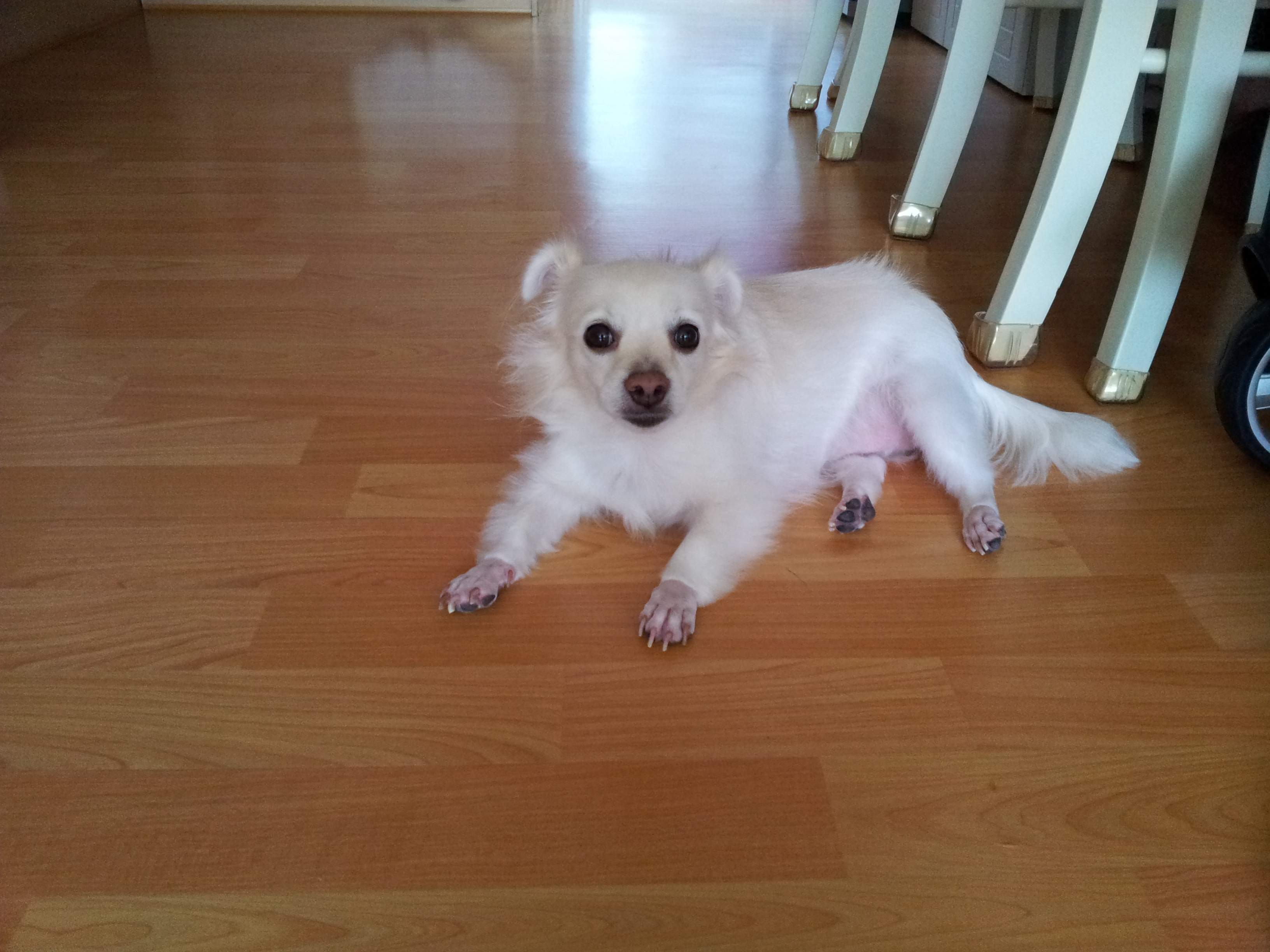 제나는 잘지내요~