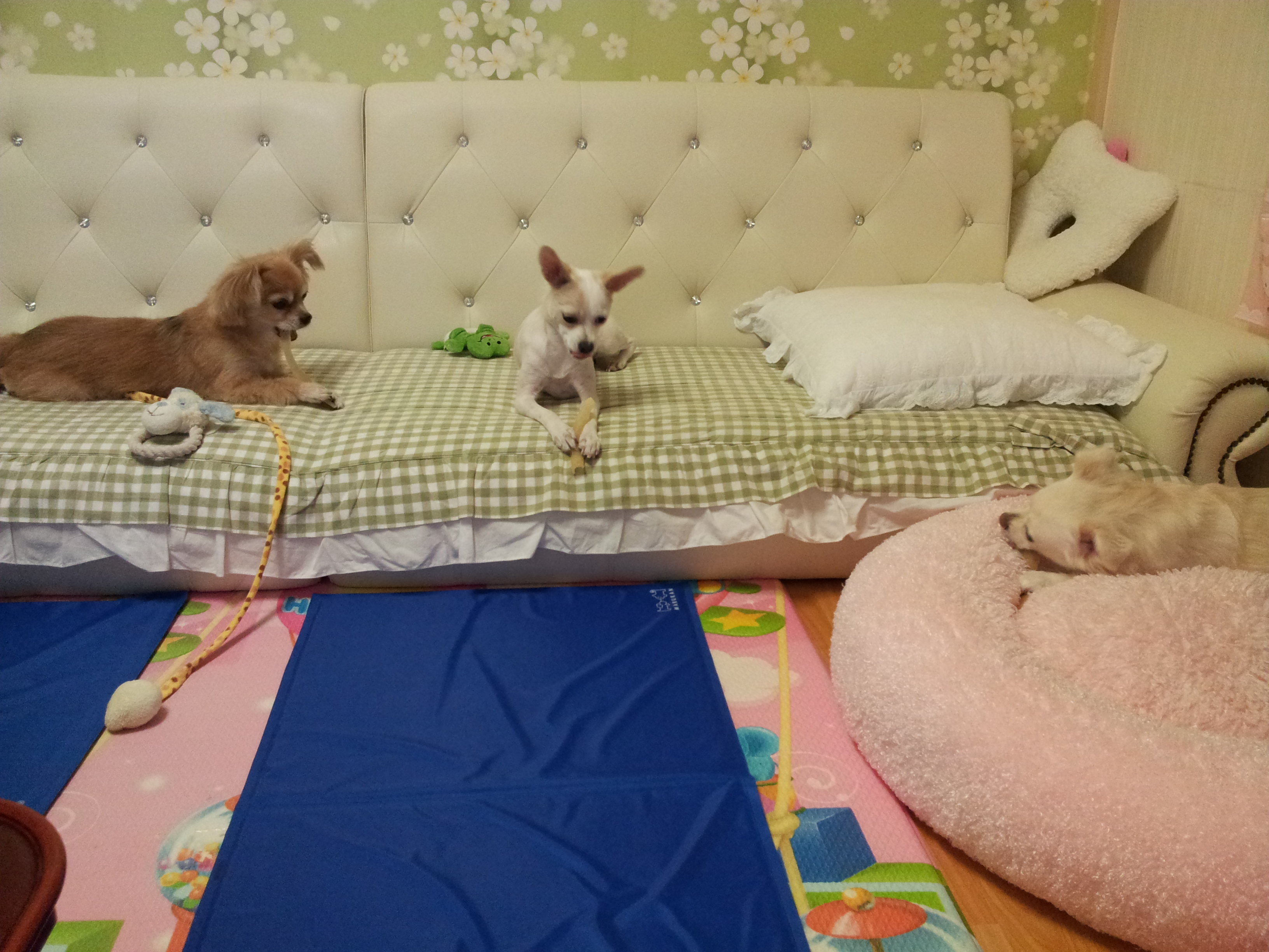 빛나는 너무나 잘지내요...ㅎㅎㅎ