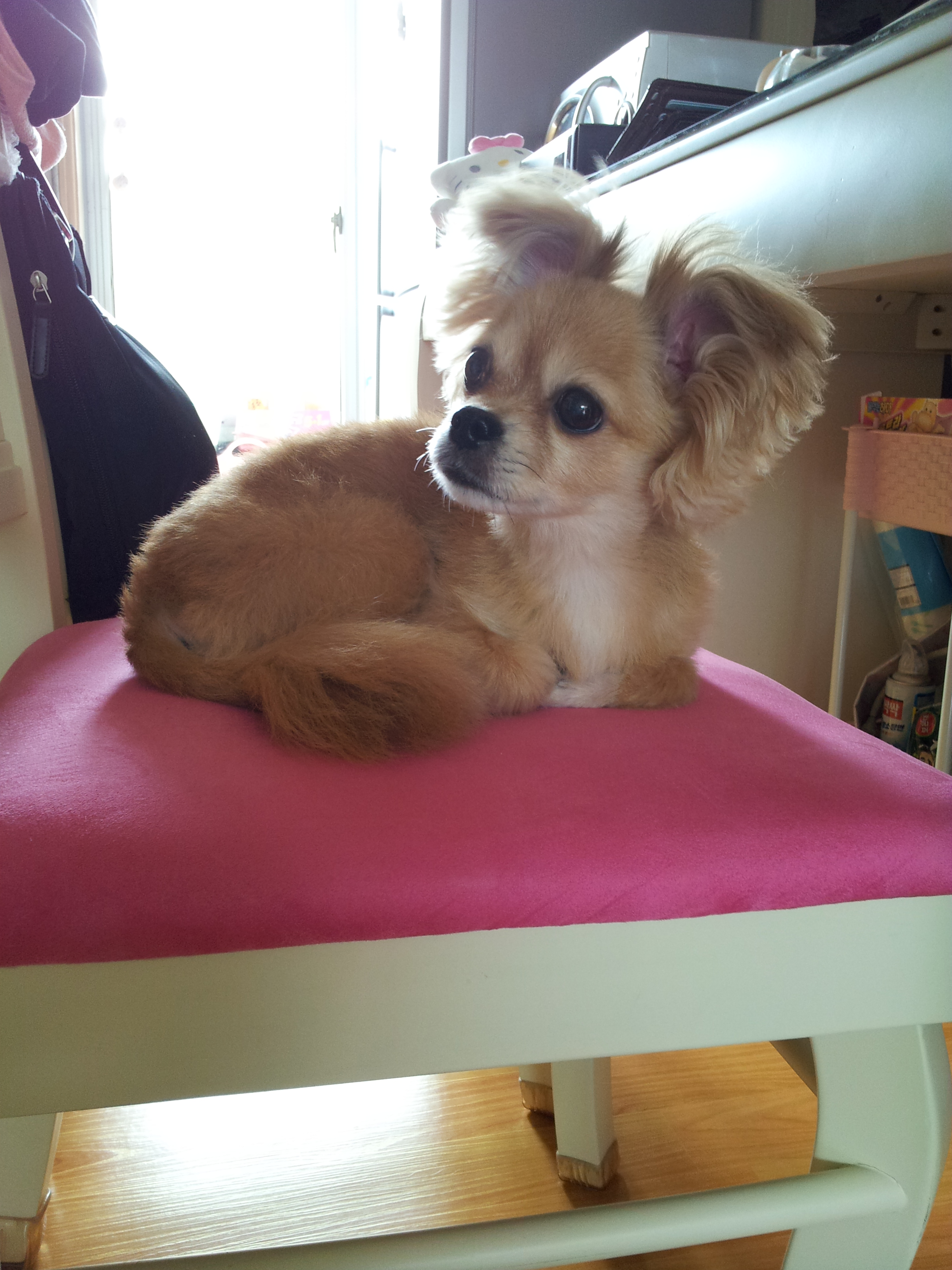 빛나는 너무나 잘지내요...ㅎㅎㅎ