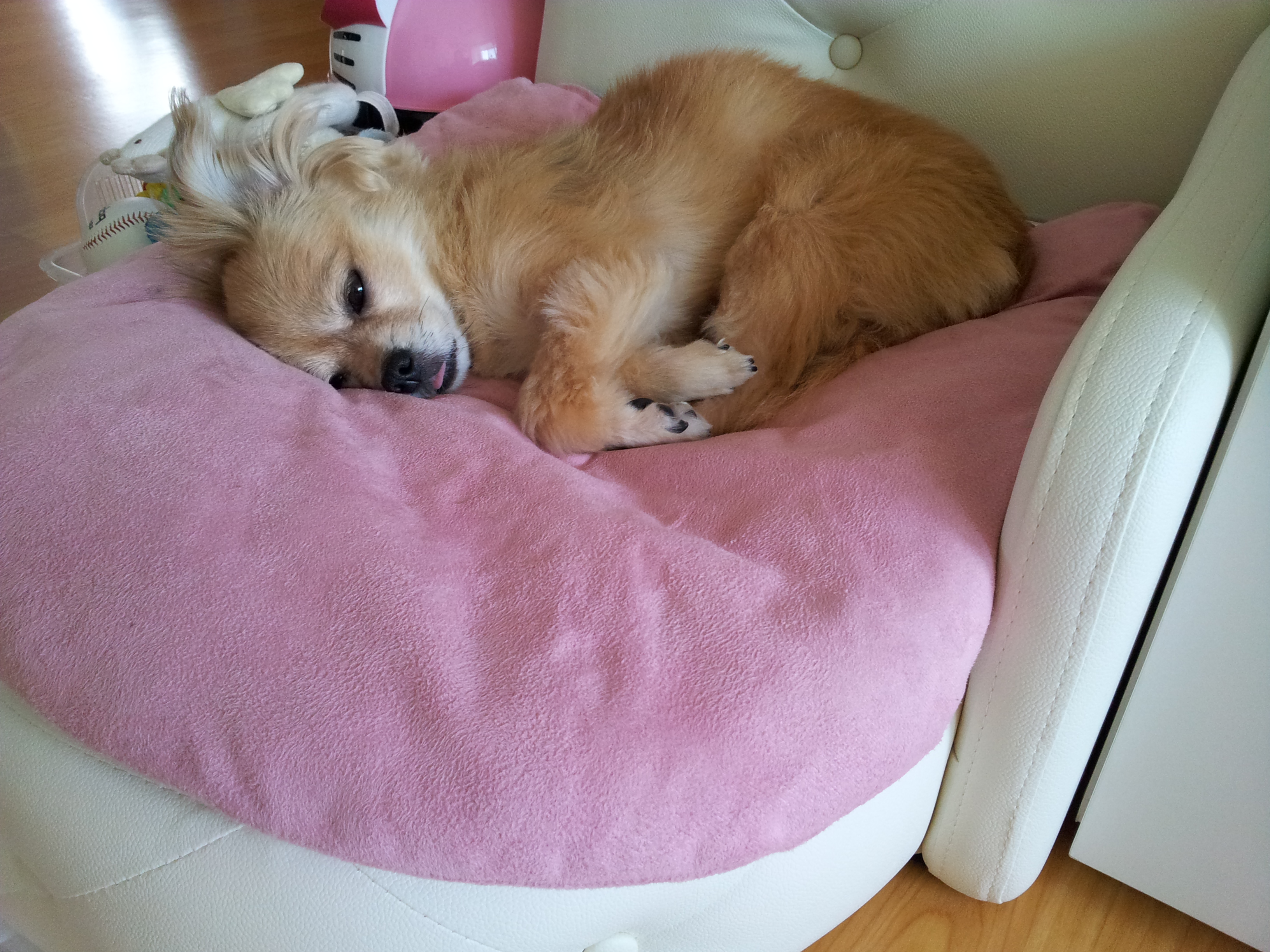 빛나는 너무나 잘지내요...ㅎㅎㅎ