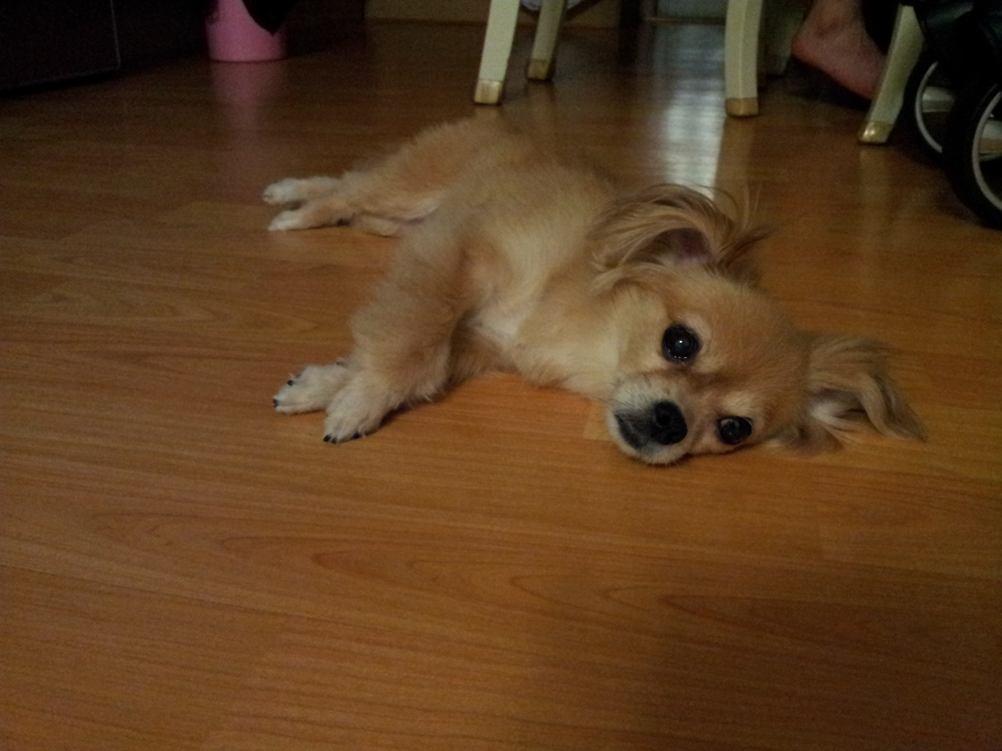 빛나는 너무나 잘지내요...ㅎㅎㅎ