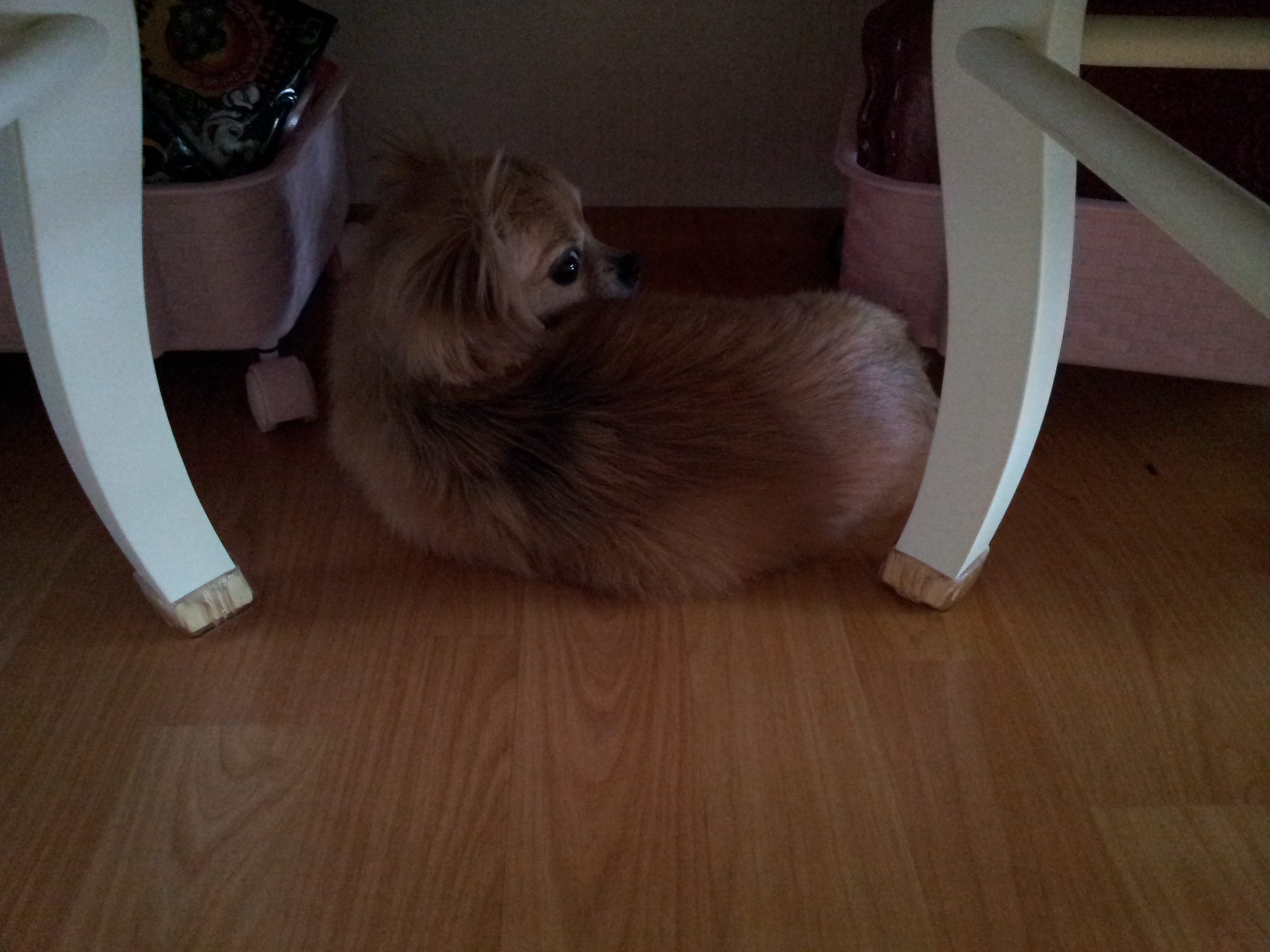 빛나는 너무나 잘지내요...ㅎㅎㅎ