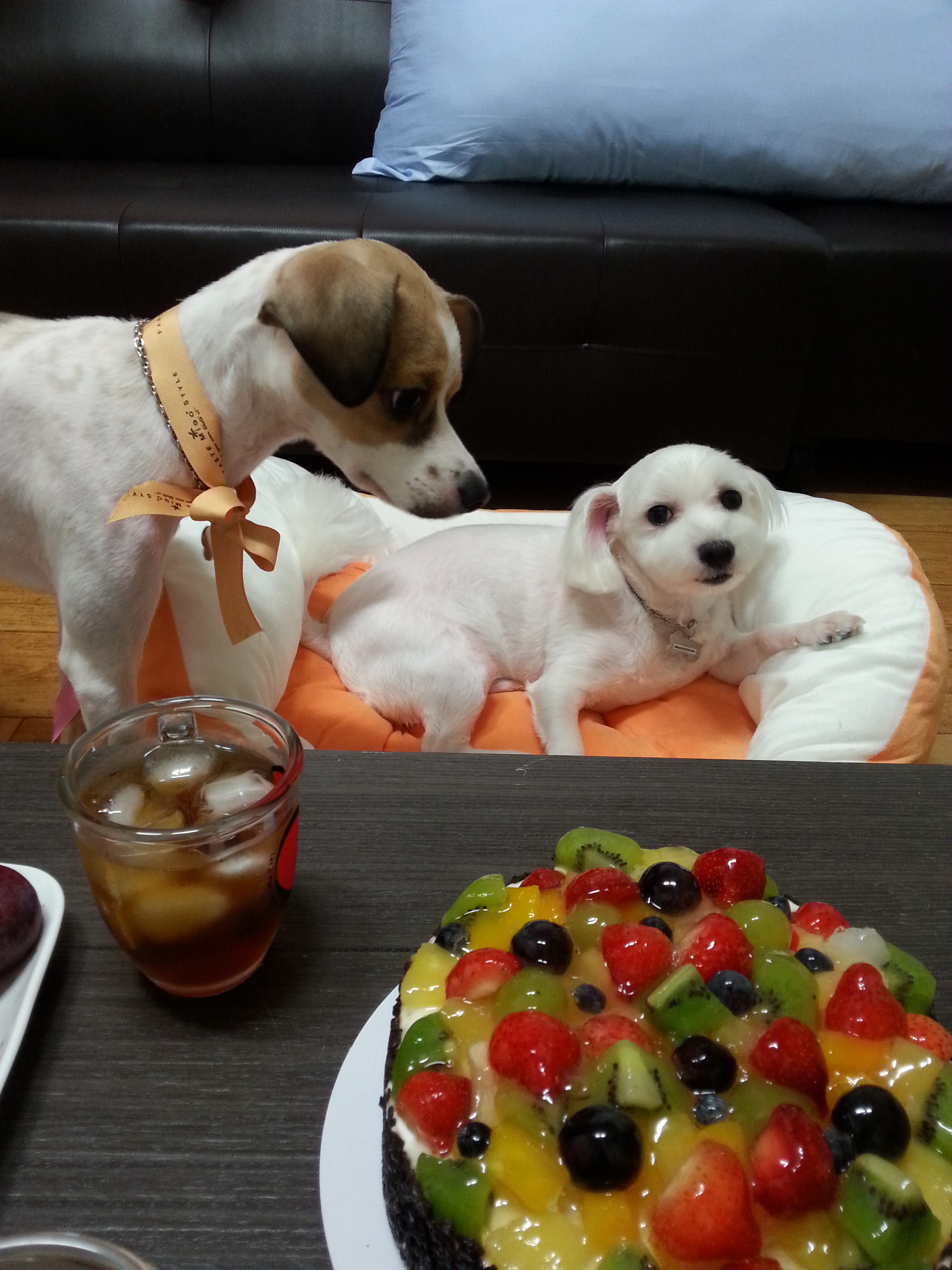 축복이의 6살 생일^^