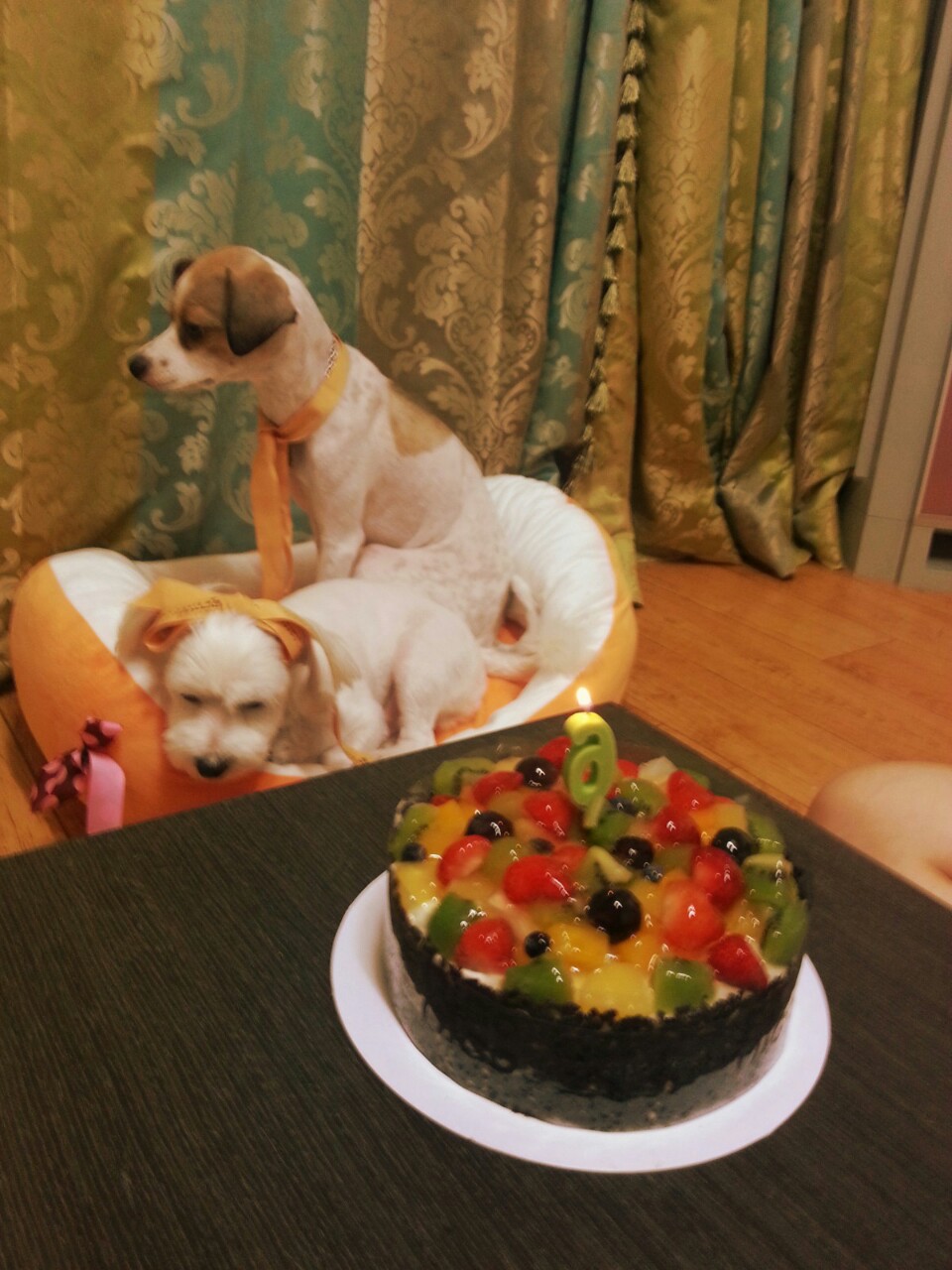 축복이의 6살 생일^^